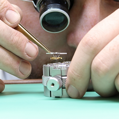 Full Watch Maintenance Service