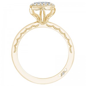 303-25PR-525Y Starlit Yellow Gold Princess Cut Engagement Ring 0.75