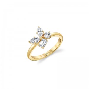 Montage Cluster Ring