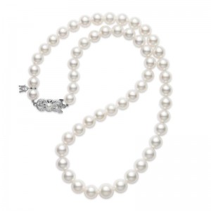 7mm-9mm Akoya Cultured Pearl Strand Necklace G90122V1W