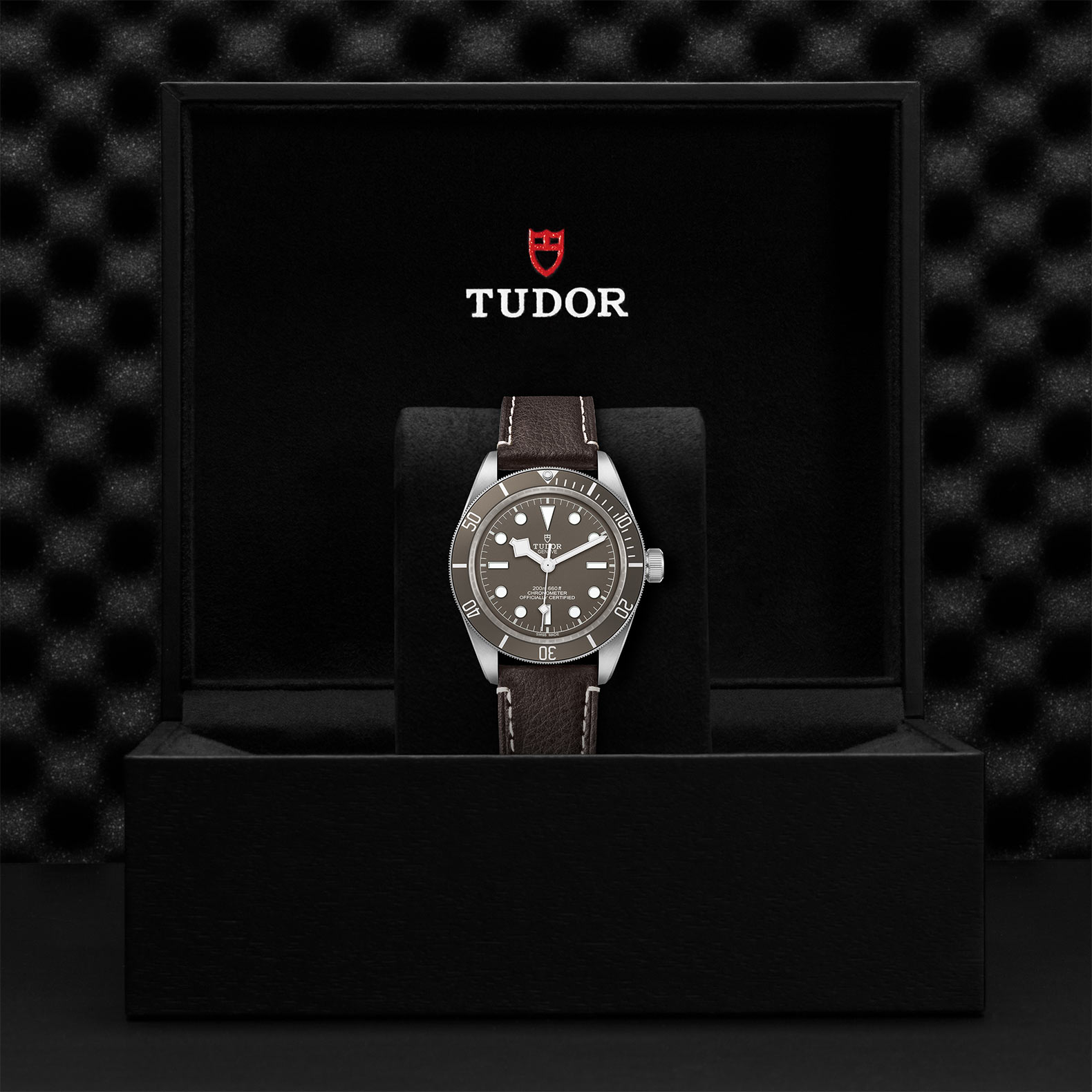 TUDOR Black Bay 58 Watch - M79010SG-0001 at Sheiban Jewelers