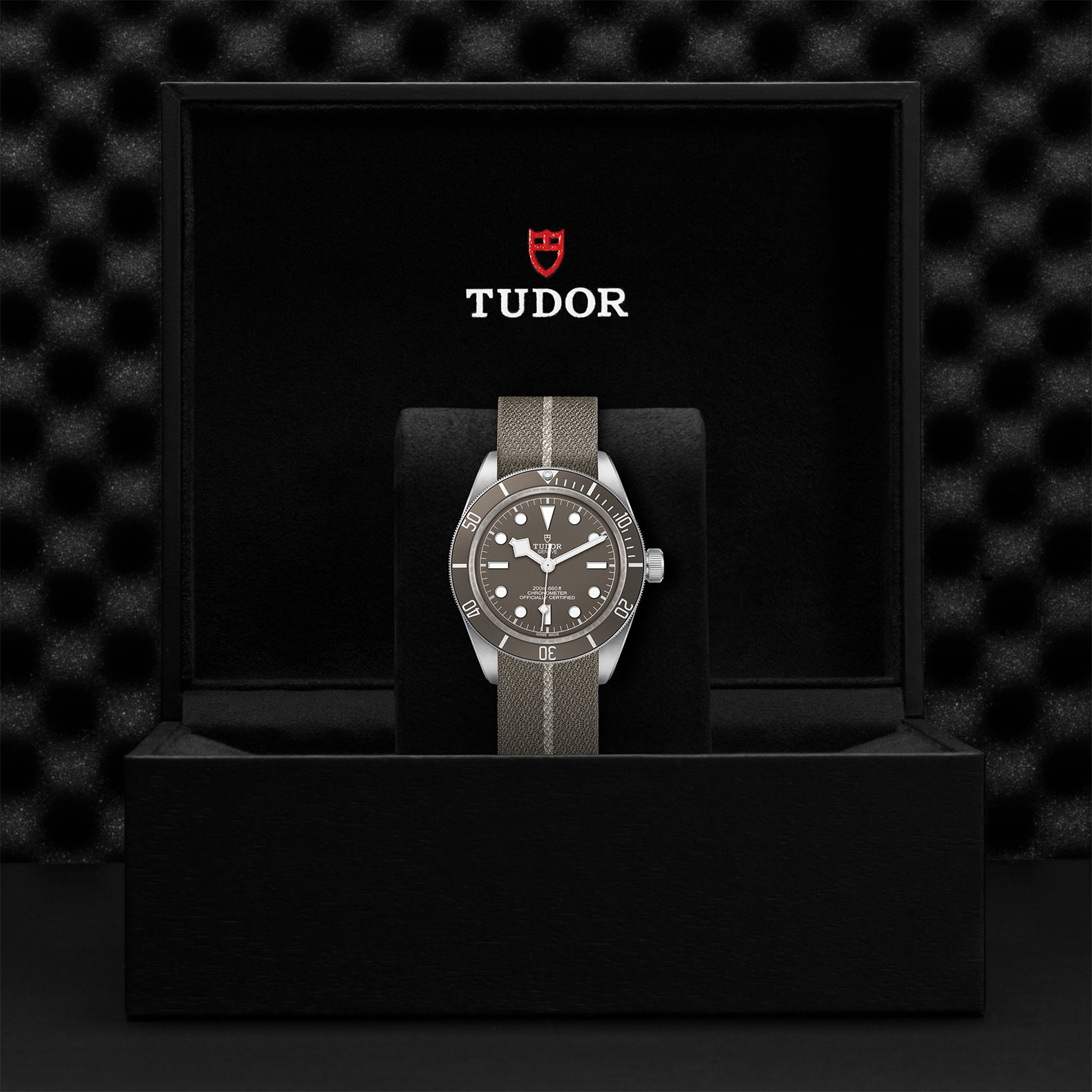 TUDOR Black Bay 58 Watch - M79010SG-0002 at Sheiban Jewelers