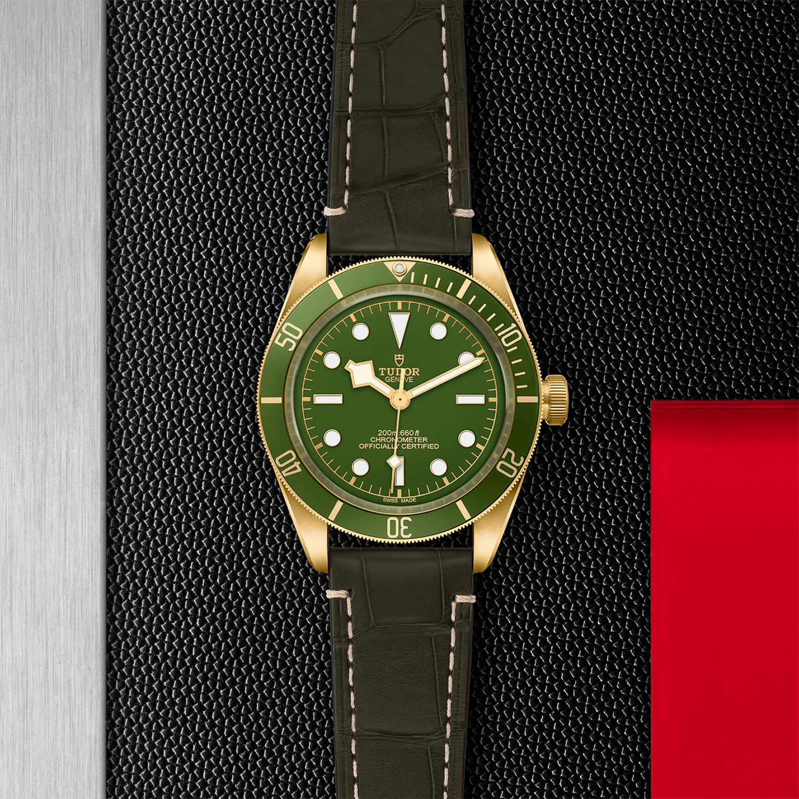 TUDOR Black Bay 58 Watch - M79018V-0001 at Sheiban Jewelers