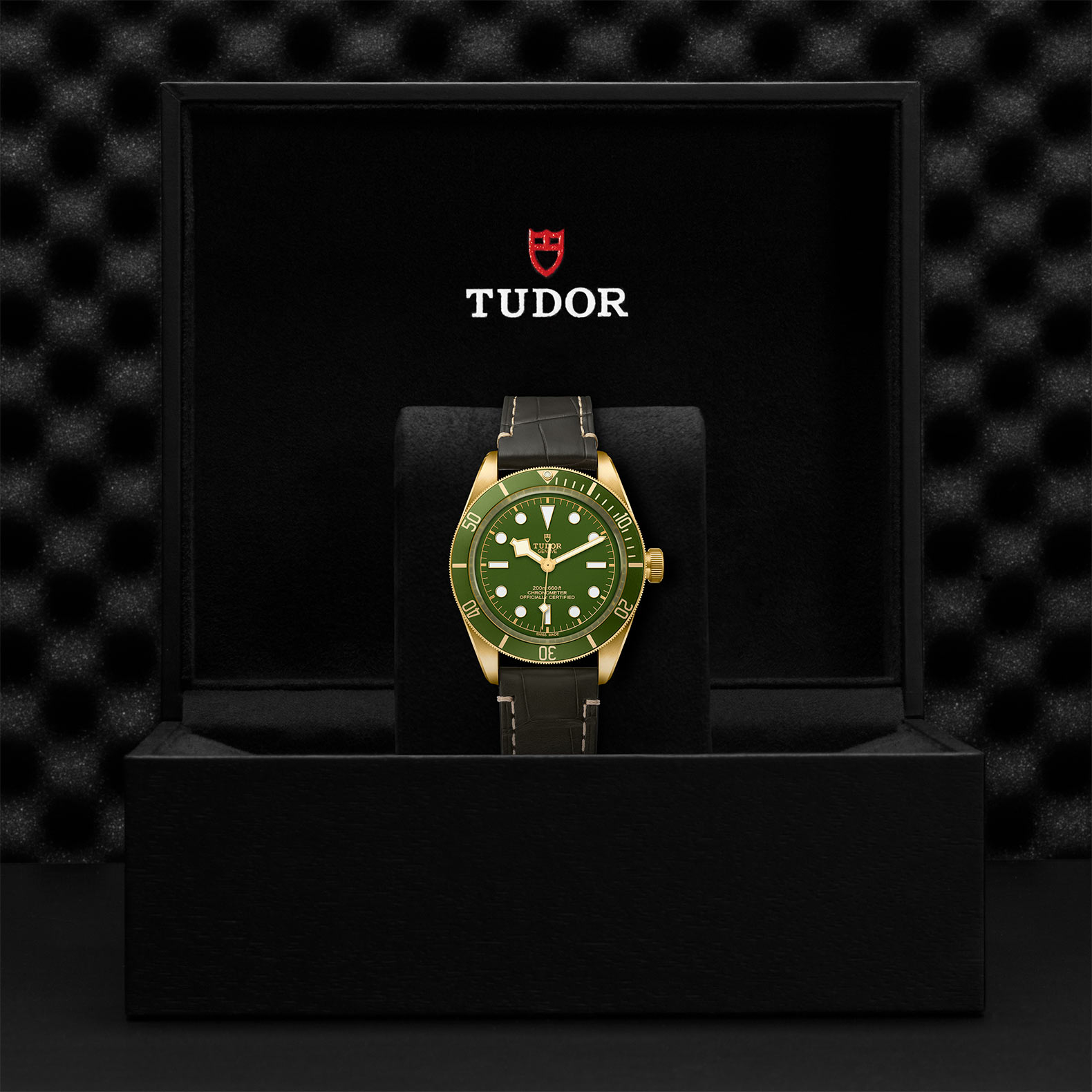 TUDOR Black Bay 58 Watch - M79018V-0001 at Sheiban Jewelers