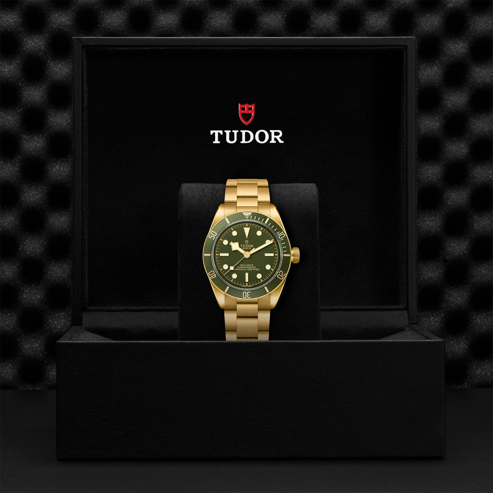 TUDOR Black Bay 58 Watch - M79018V-0006 at Sheiban Jewelers