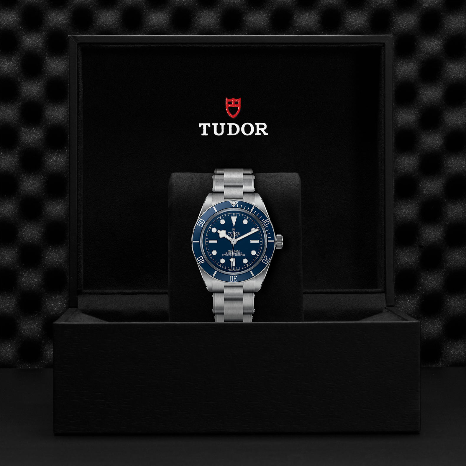 TUDOR Black Bay 58 Watch - M79030B-0001 at Sheiban Jewelers