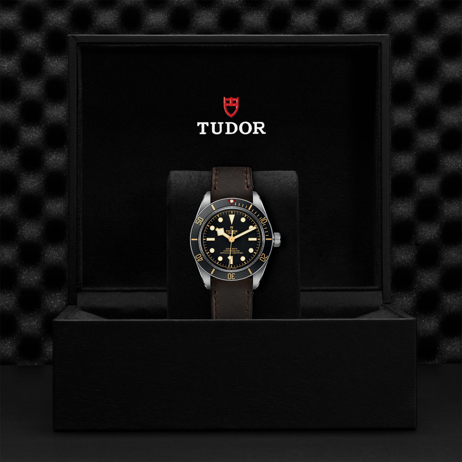 TUDOR Black Bay 58 Watch - M79030N-0002 at Sheiban Jewelers