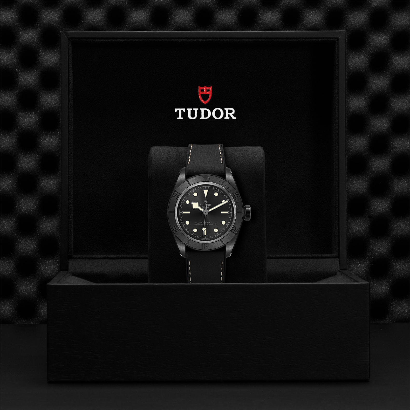 TUDOR Black Bay Watch - M79210CNU-0001 at Sheiban Jewelers