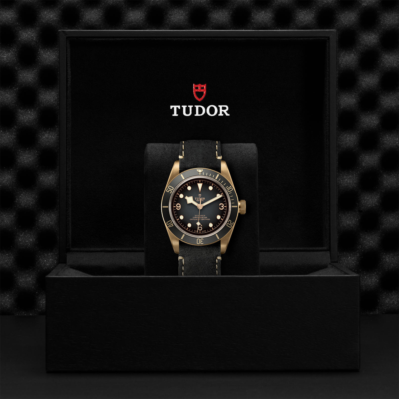 TUDOR Black Bay Bronze Watch - M79250BA-0001 at Sheiban Jewelers