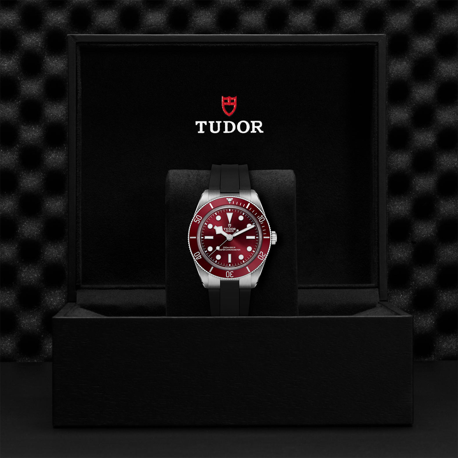 TUDOR Black Bay 58 Watch - M7939A1A0RU-0003 at Sheiban Jewelers