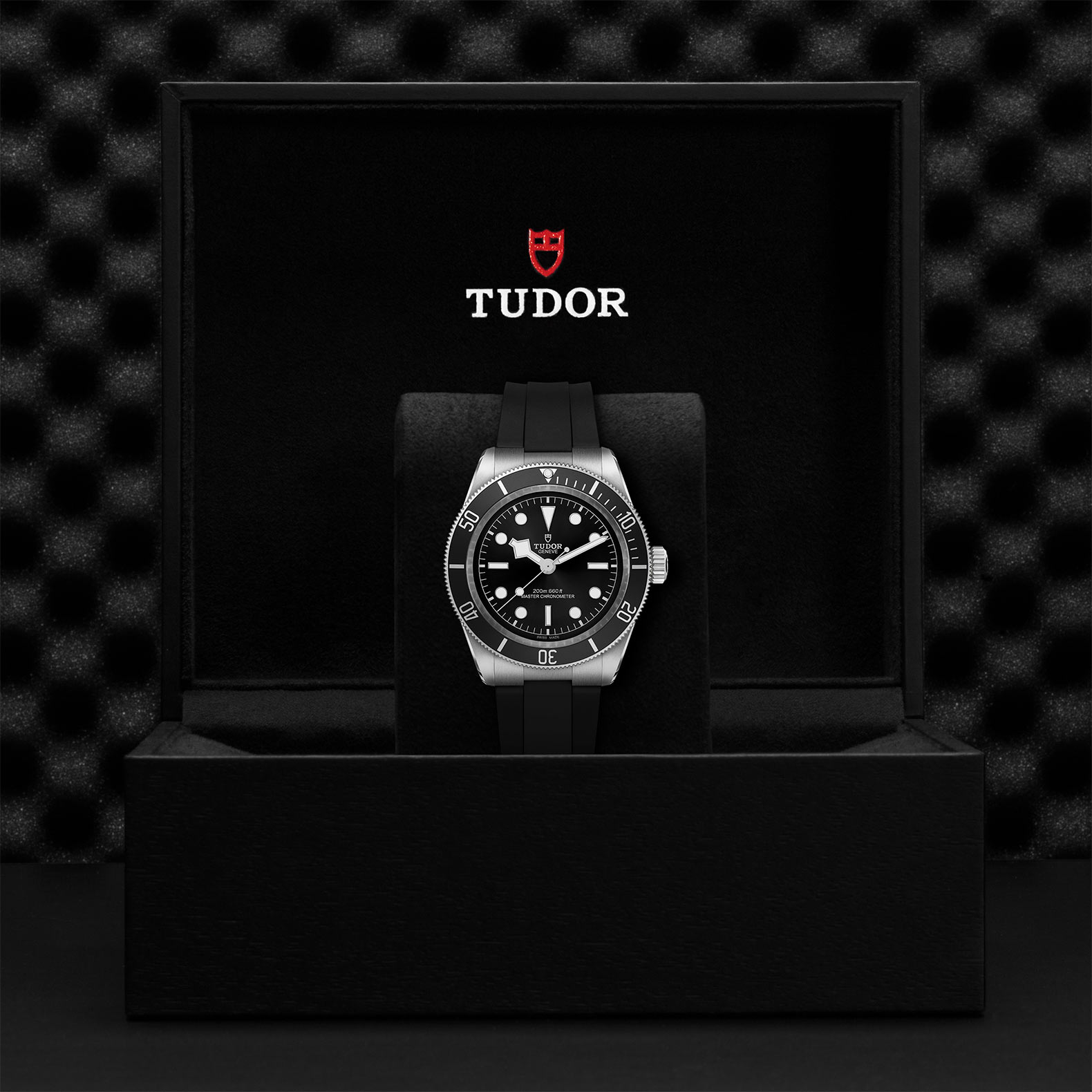 TUDOR Black Bay Watch - M7941A1A0NU-0002 at Sheiban Jewelers