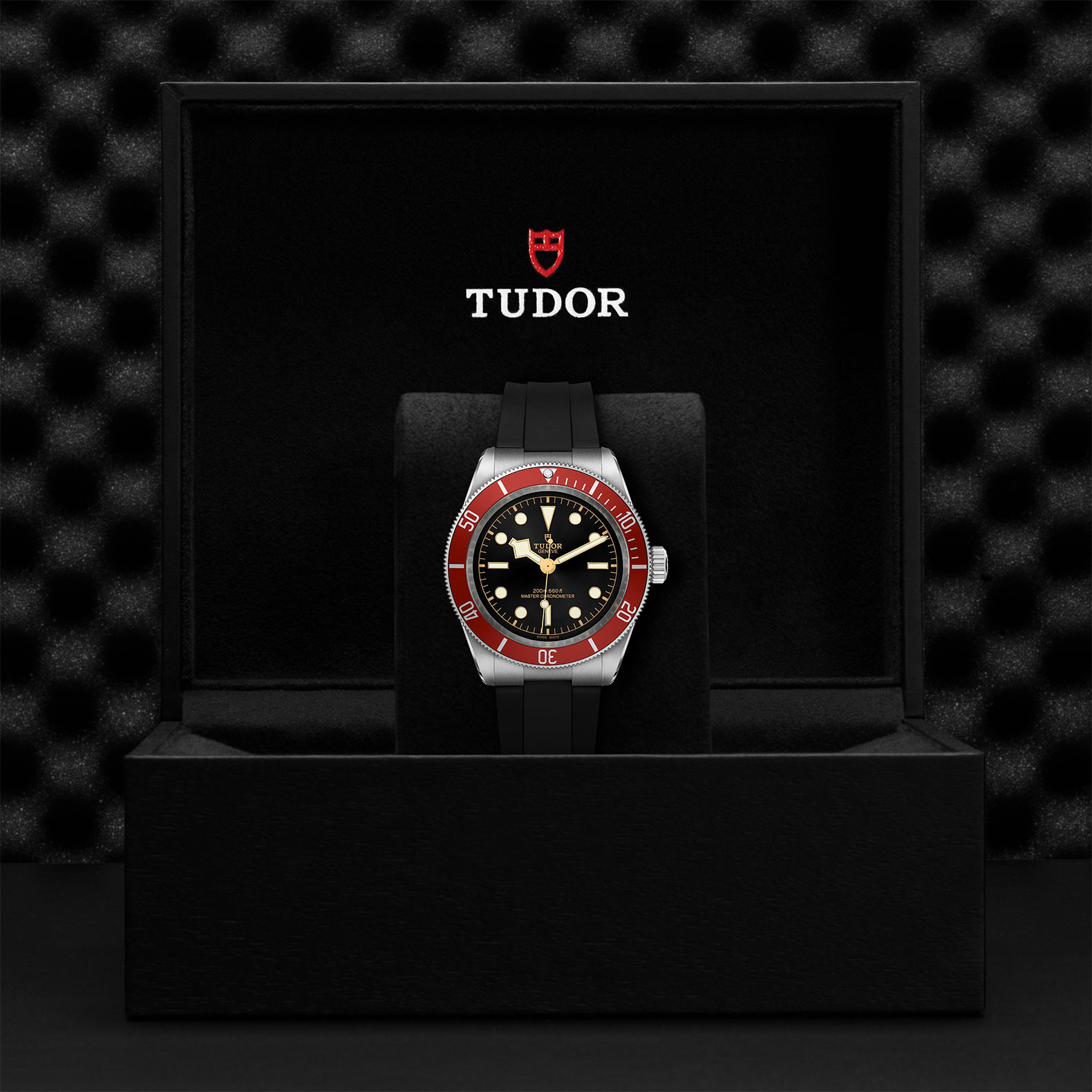 TUDOR Black Bay Watch - M7941A1A0RU-0002 at Sheiban Jewelers