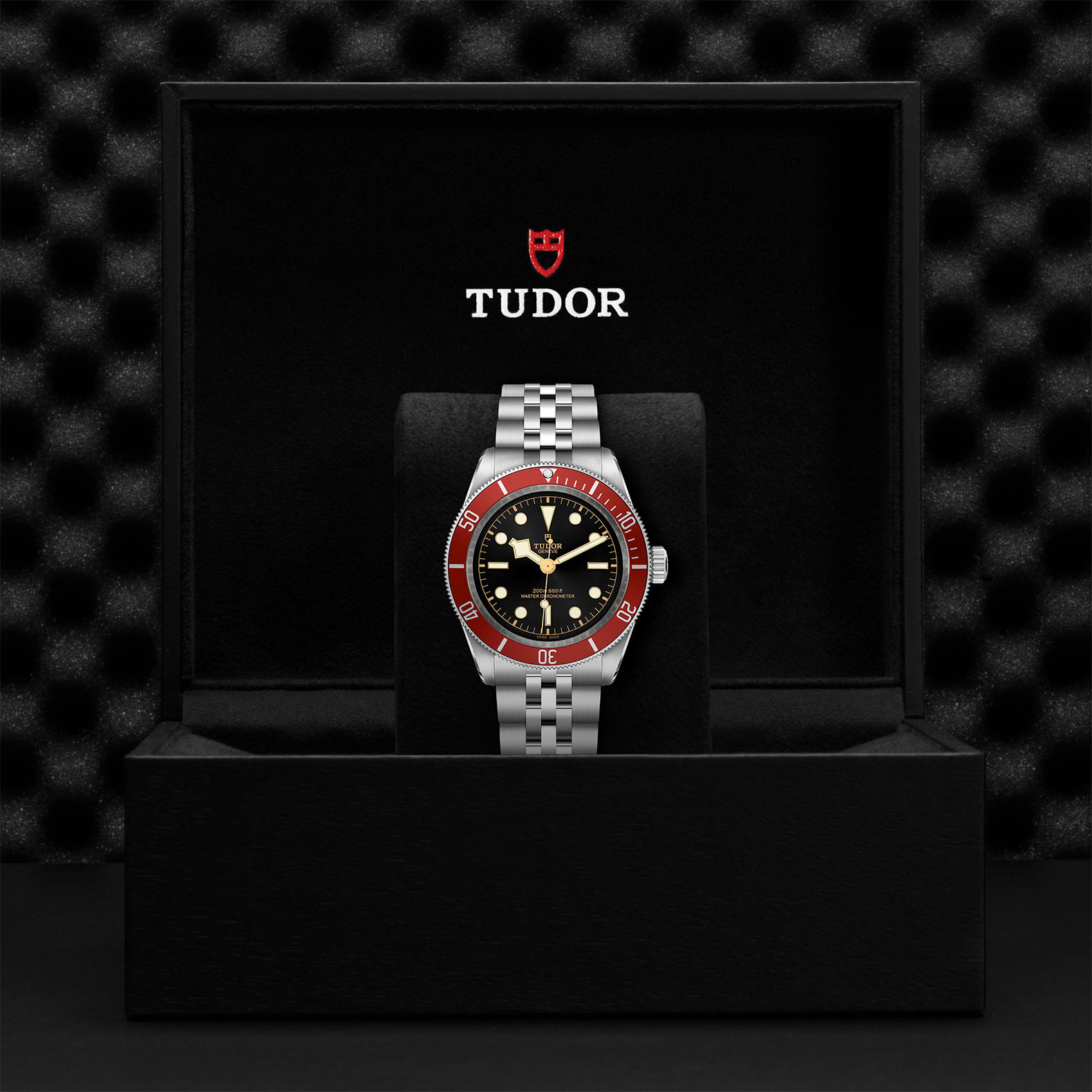 TUDOR Black Bay Watch - M7941A1A0RU-0003 at Sheiban Jewelers