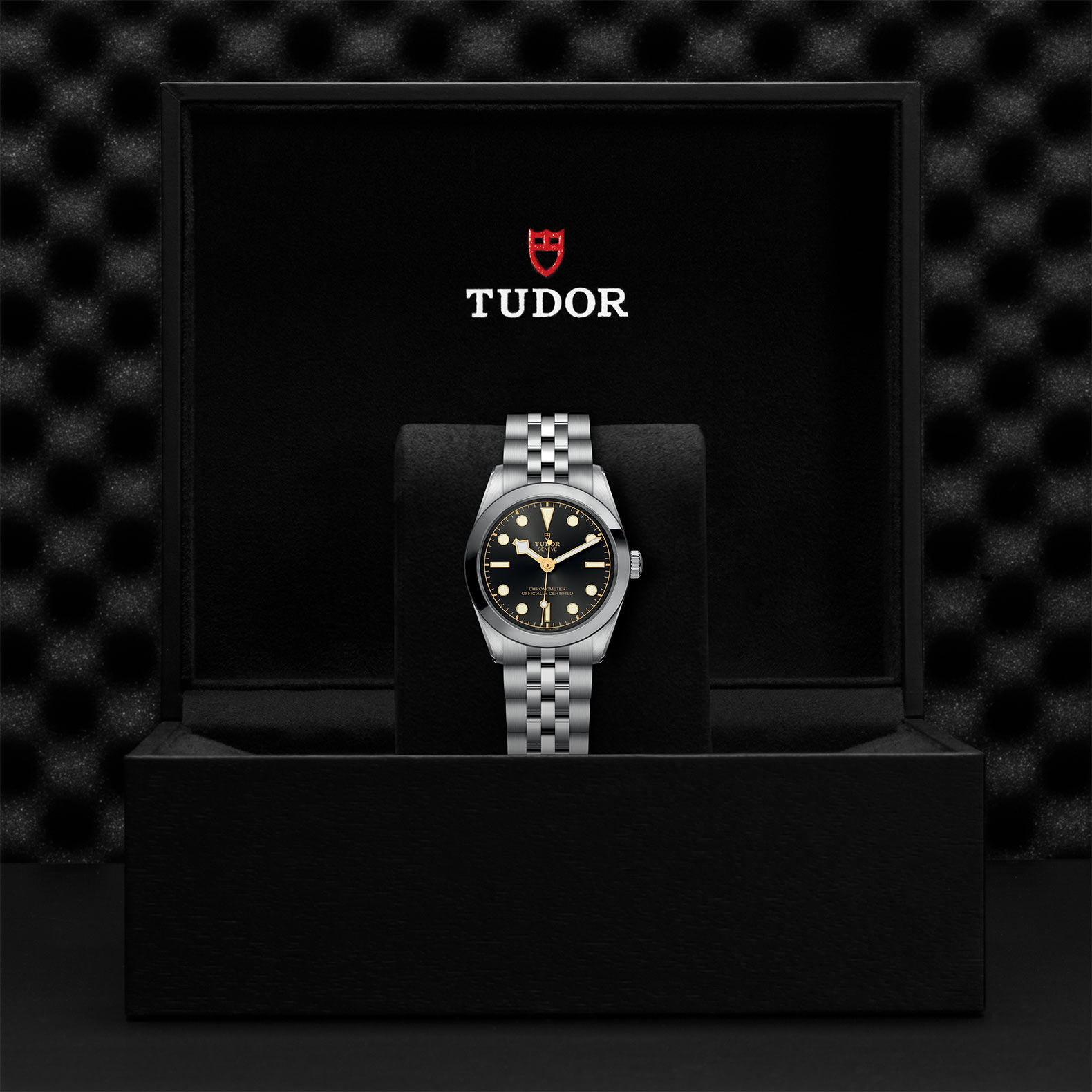 TUDOR Black Bay 31/36/39/41 Watch - M79600-0001 at Sheiban Jewelers