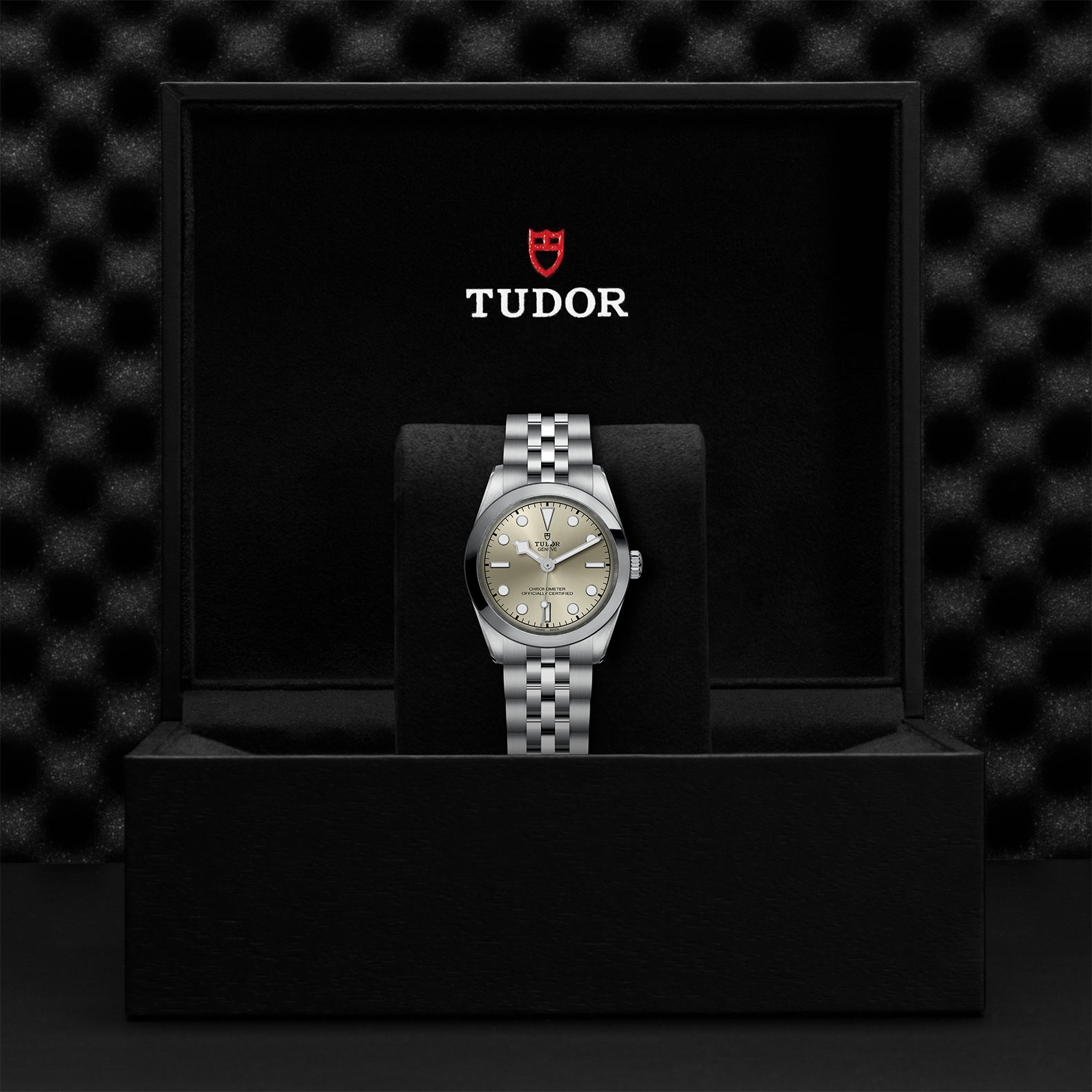 TUDOR Black Bay 31/36/39/41 Watch - M79600-0003 at Sheiban Jewelers