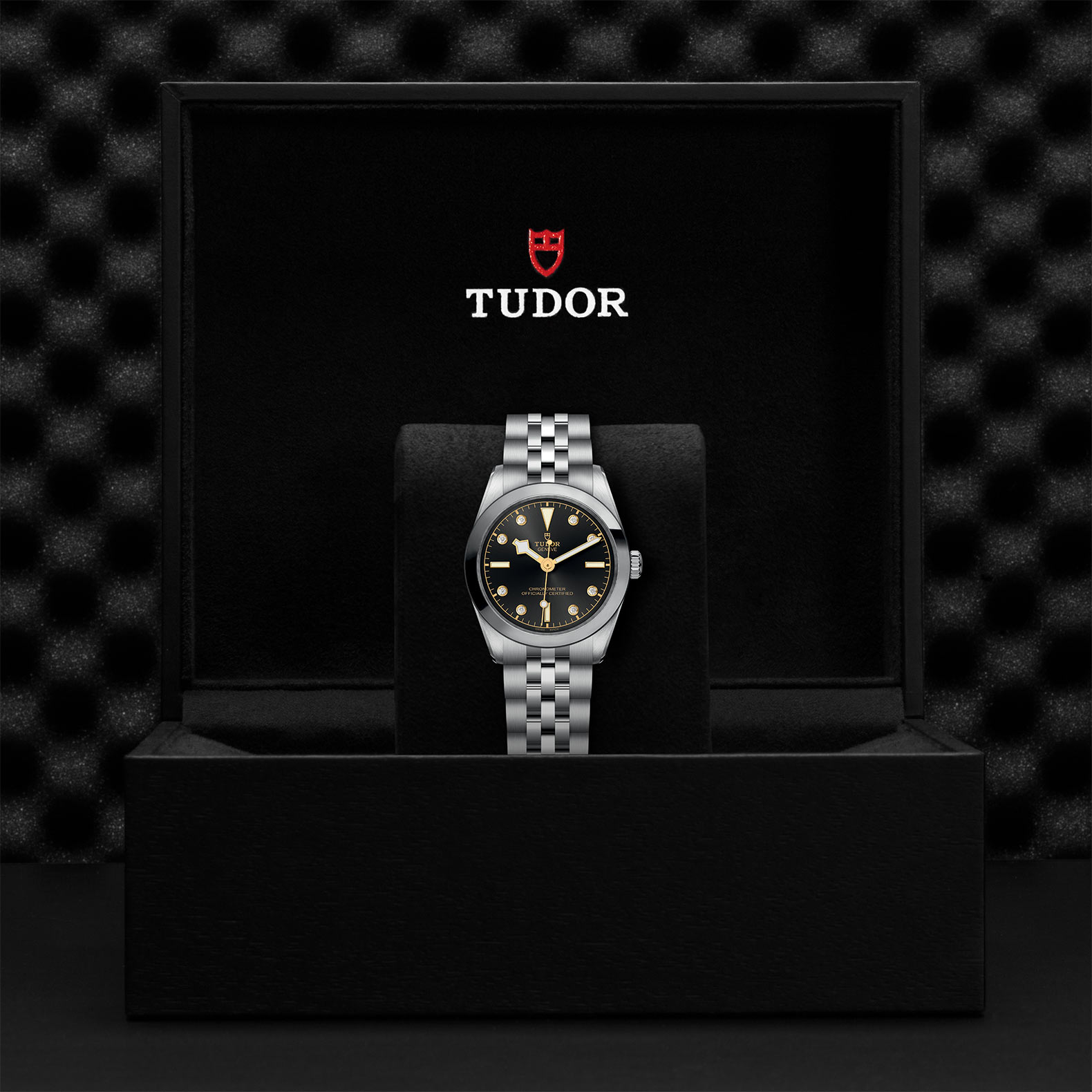 TUDOR Black Bay 31/36/39/41 Watch - M79600-0004 at Sheiban Jewelers