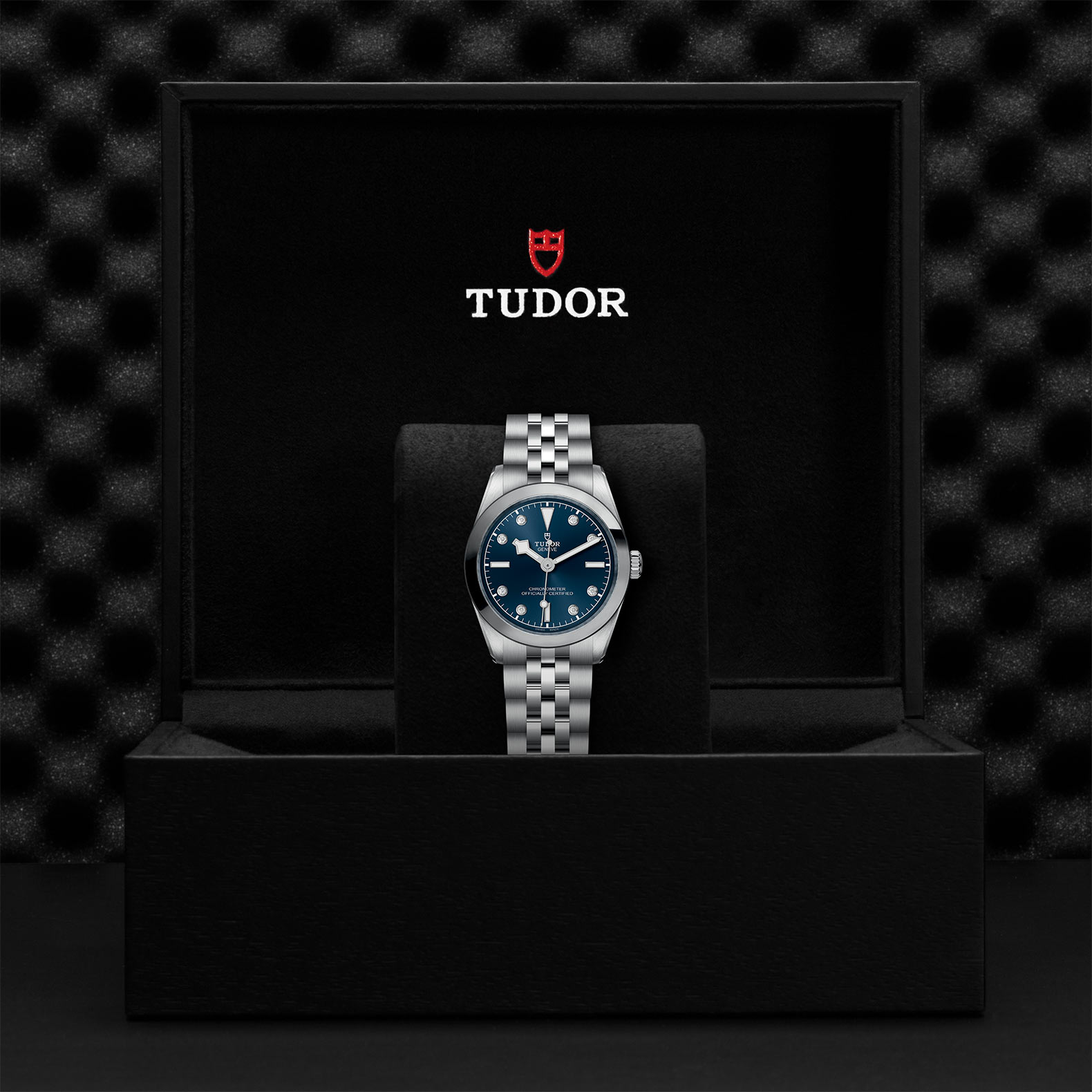 TUDOR Black Bay 31/36/39/41 Watch - M79600-0005 at Sheiban Jewelers