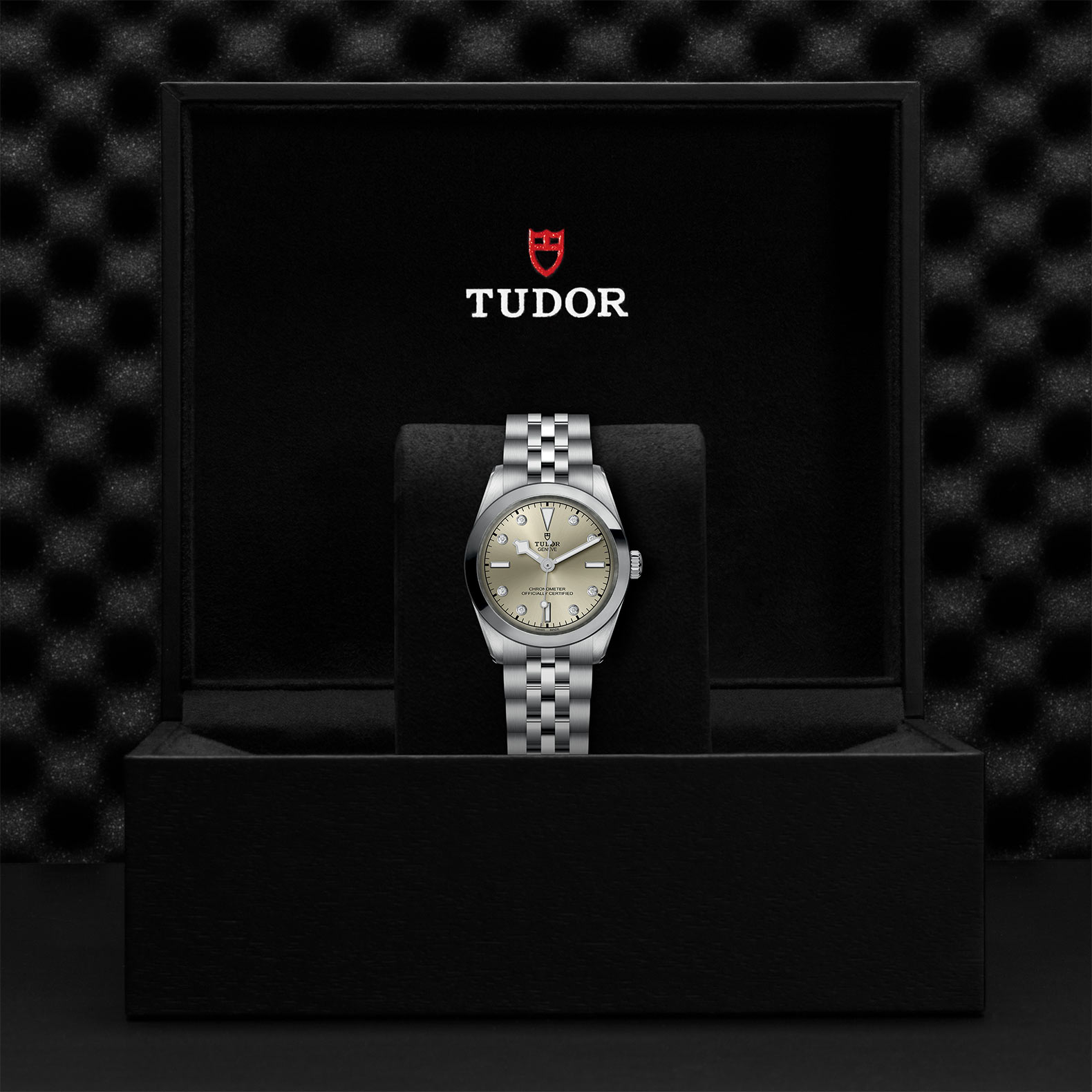 TUDOR Black Bay 31/36/39/41 Watch - M79600-0006 at Sheiban Jewelers