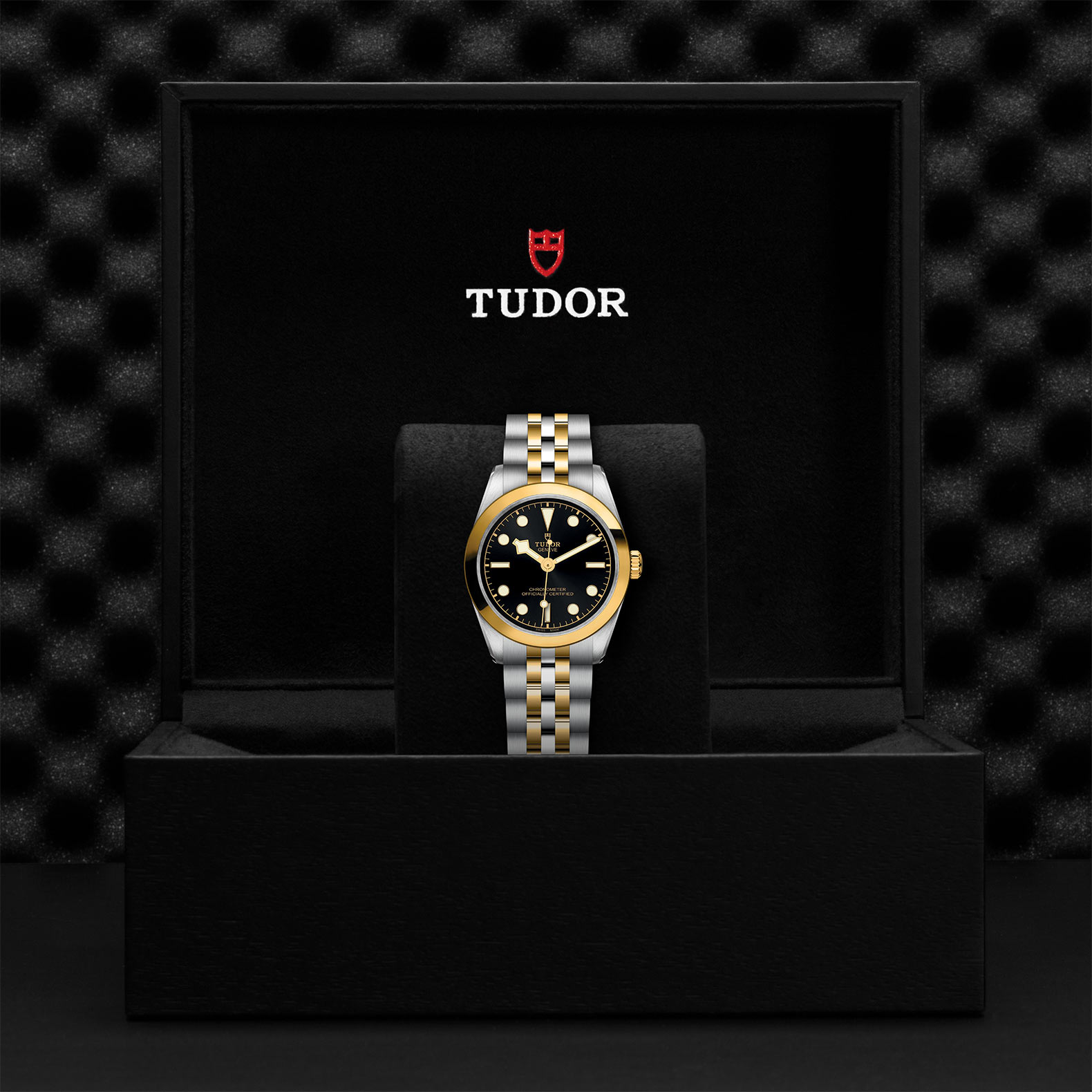TUDOR Black Bay 31/36/39/41 S&G Watch - M79603-0001 at Sheiban Jewelers