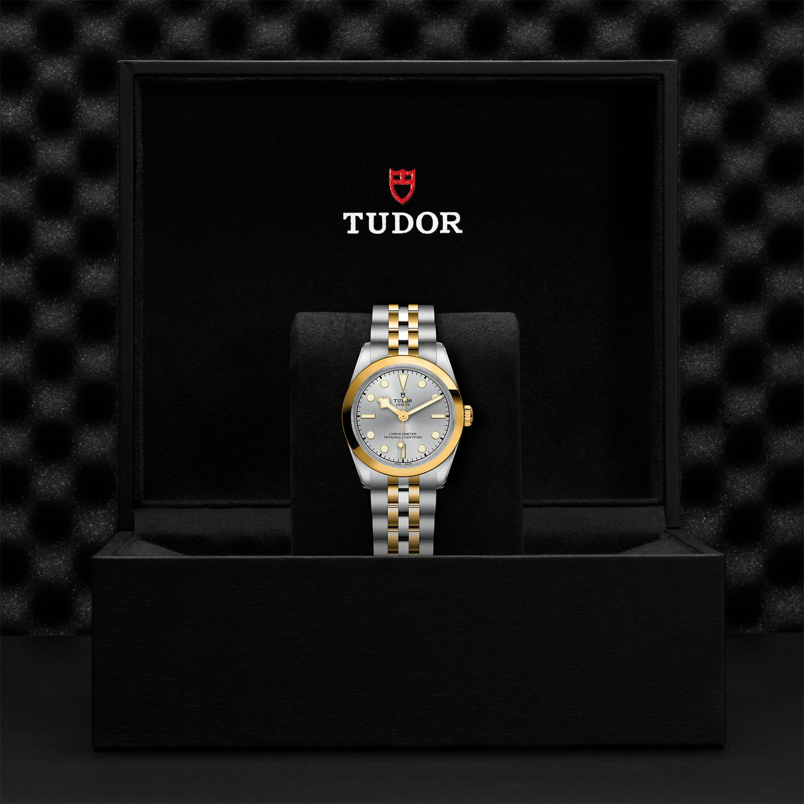 TUDOR Black Bay 31/36/39/41 S&G Watch - M79603-0002 at Sheiban Jewelers