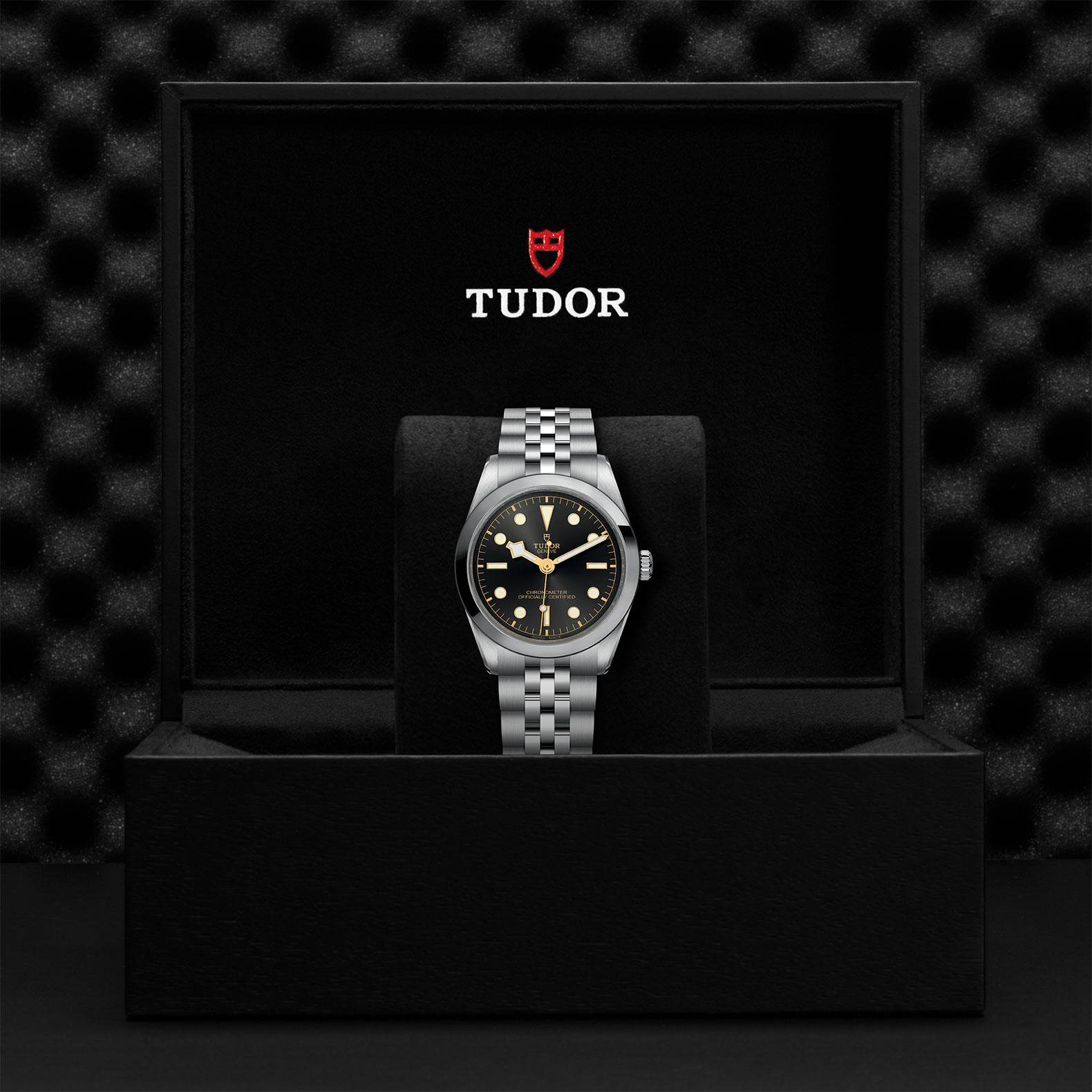 TUDOR Black Bay 31/36/39/41 Watch - M79640-0001 at Sheiban Jewelers