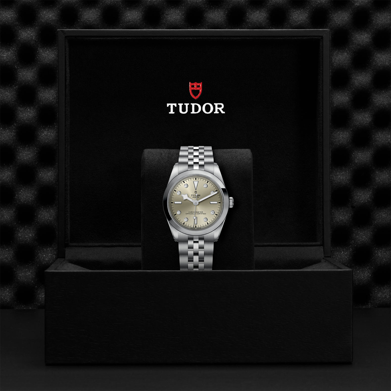 TUDOR Black Bay 31/36/39/41 Watch - M79640-0006 at Sheiban Jewelers