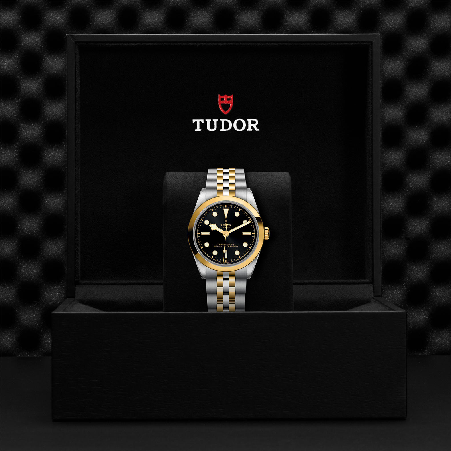 TUDOR Black Bay 31/36/39/41 S&G Watch - M79643-0001 at Sheiban Jewelers