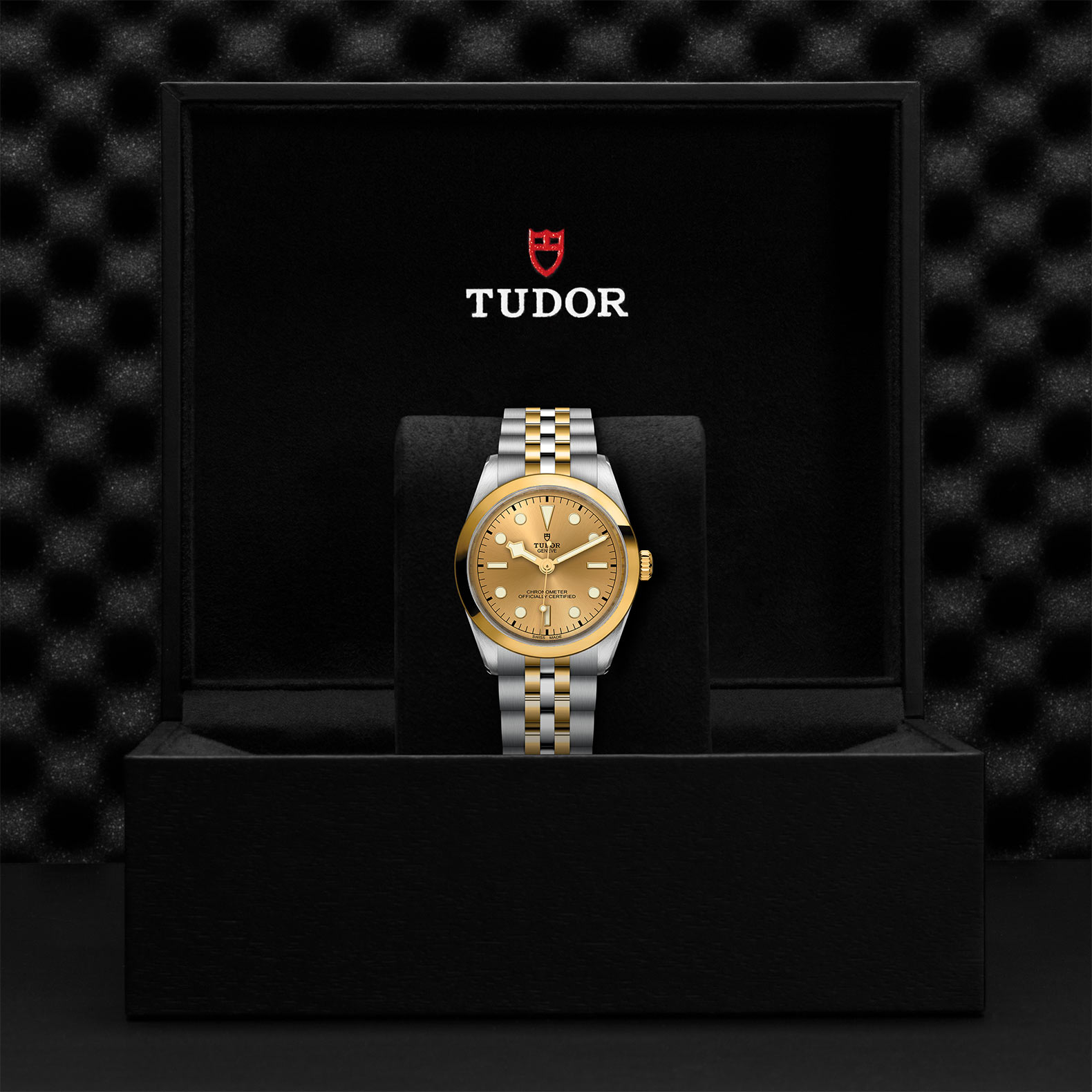TUDOR Black Bay 31/36/39/41 S&G Watch - M79643-0005 at Sheiban Jewelers