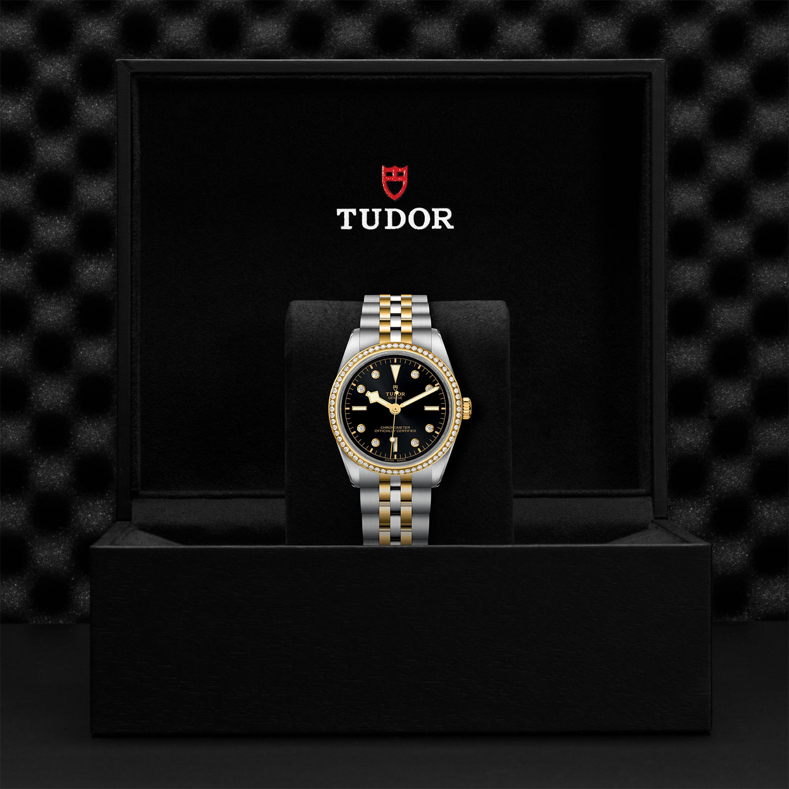 TUDOR Black Bay 31/36/39/41 S&G Watch - M79653-0005 at Sheiban Jewelers