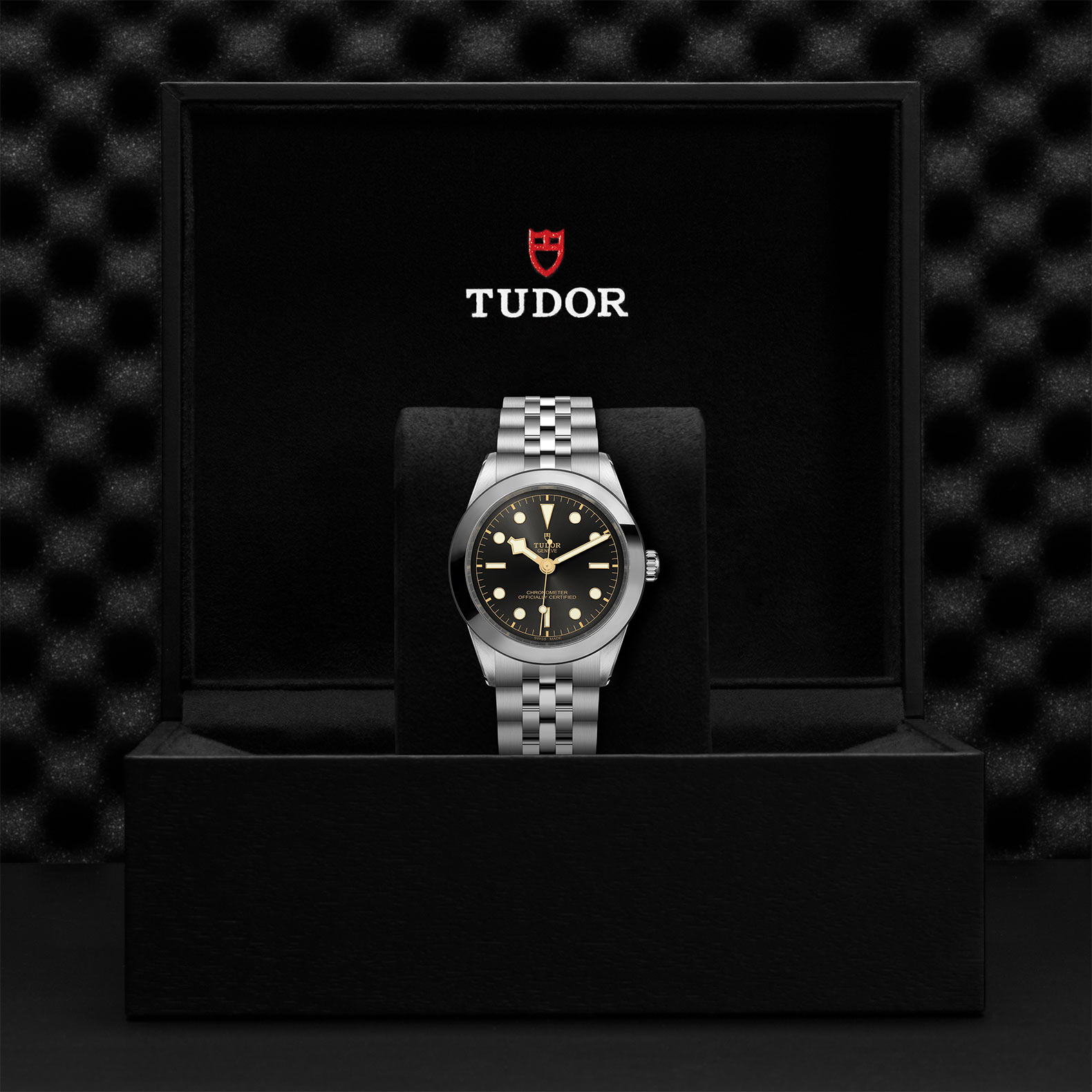 TUDOR Black Bay 31/36/39/41 Watch - M79660-0001 at Sheiban Jewelers