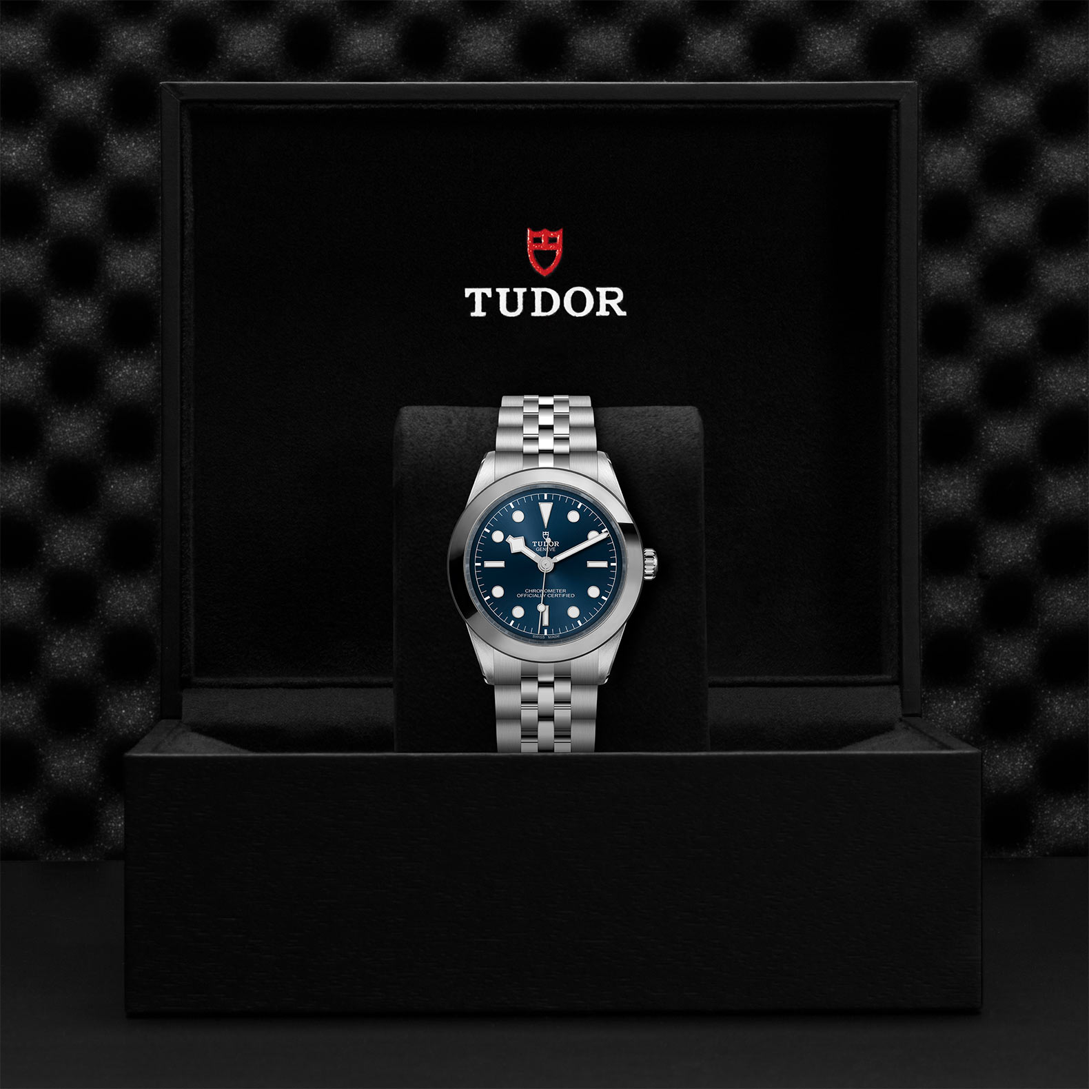 TUDOR Black Bay 31/36/39/41 Watch - M79660-0002 at Sheiban Jewelers