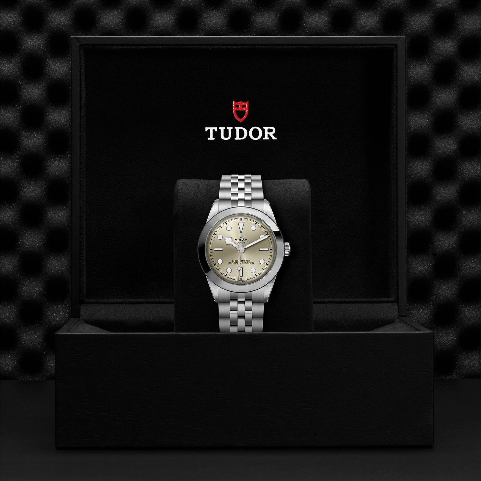 TUDOR Black Bay 31/36/39/41 Watch - M79660-0003 at Sheiban Jewelers