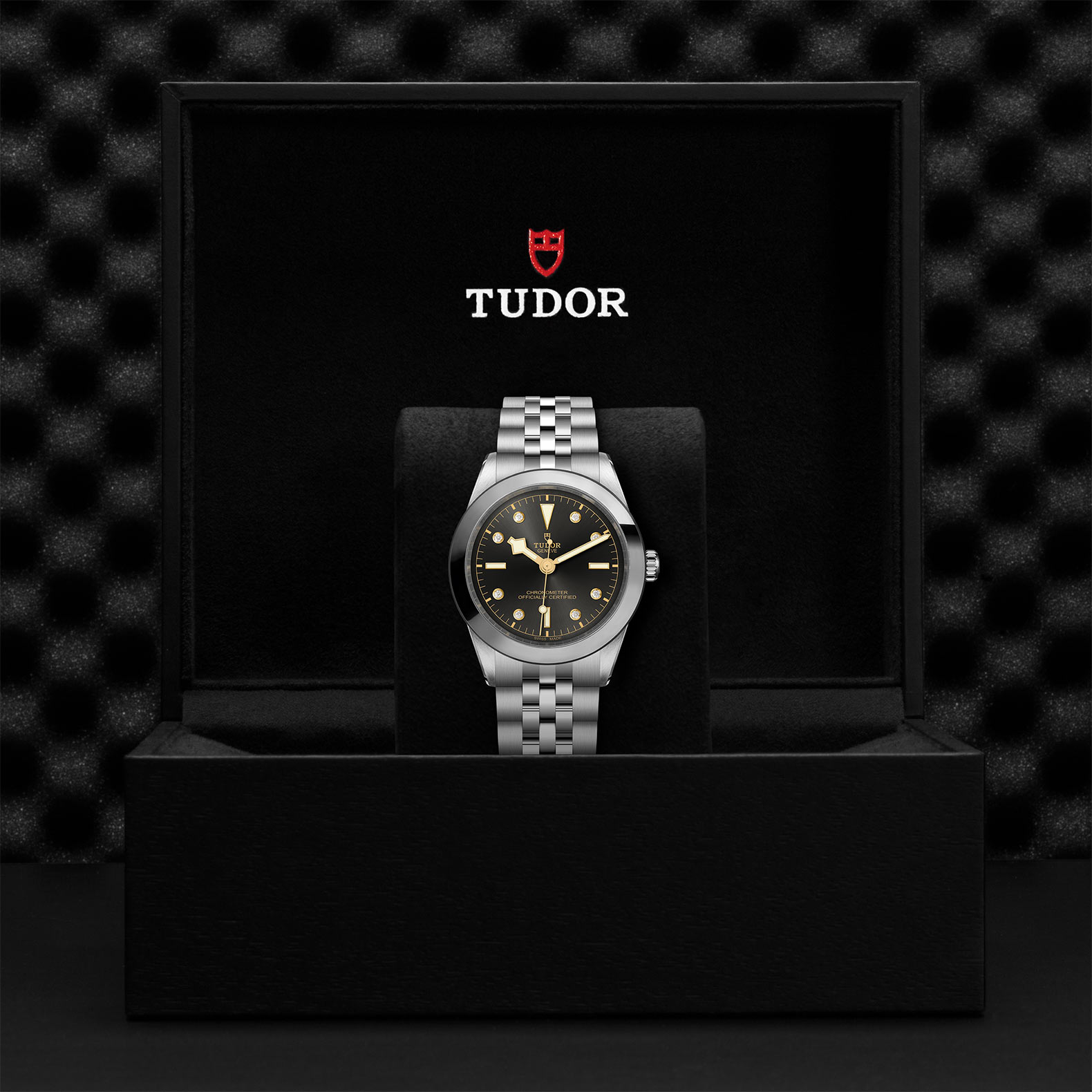 TUDOR Black Bay 31/36/39/41 Watch - M79660-0004 at Sheiban Jewelers