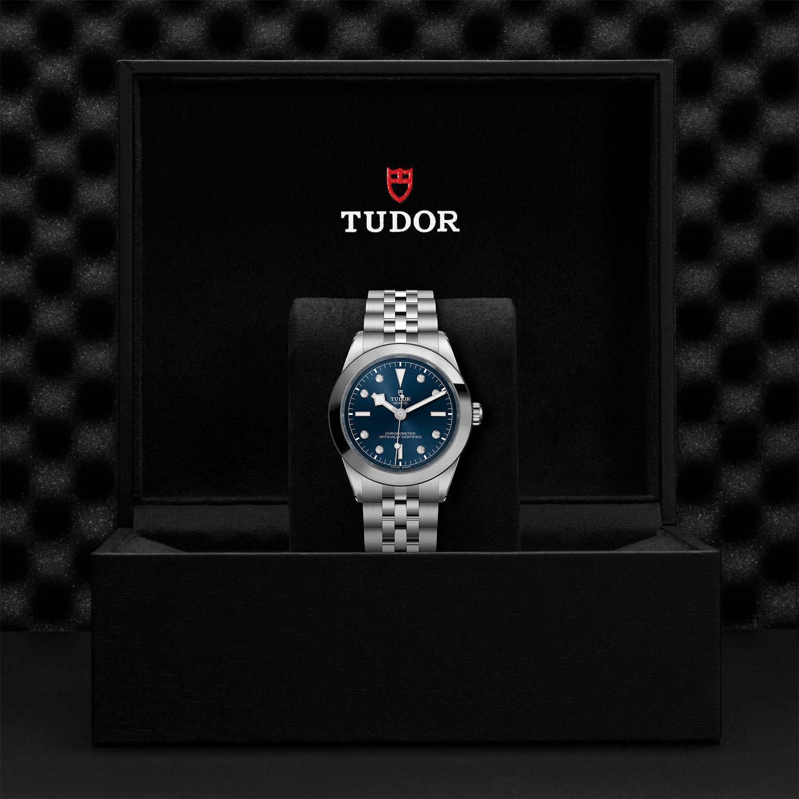 TUDOR Black Bay 31/36/39/41 Watch - M79660-0005 at Sheiban Jewelers