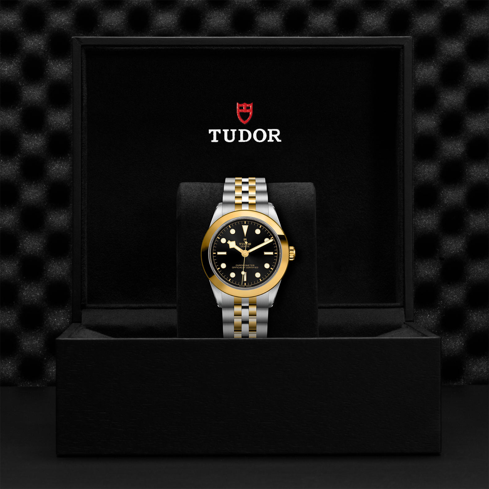 TUDOR Black Bay 31/36/39/41 S&G Watch - M79663-0001 at Sheiban Jewelers