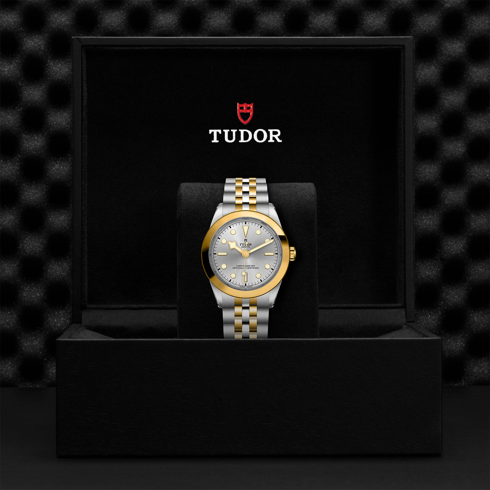 TUDOR Black Bay 31/36/39/41 S&G Watch - M79663-0002 at Sheiban Jewelers