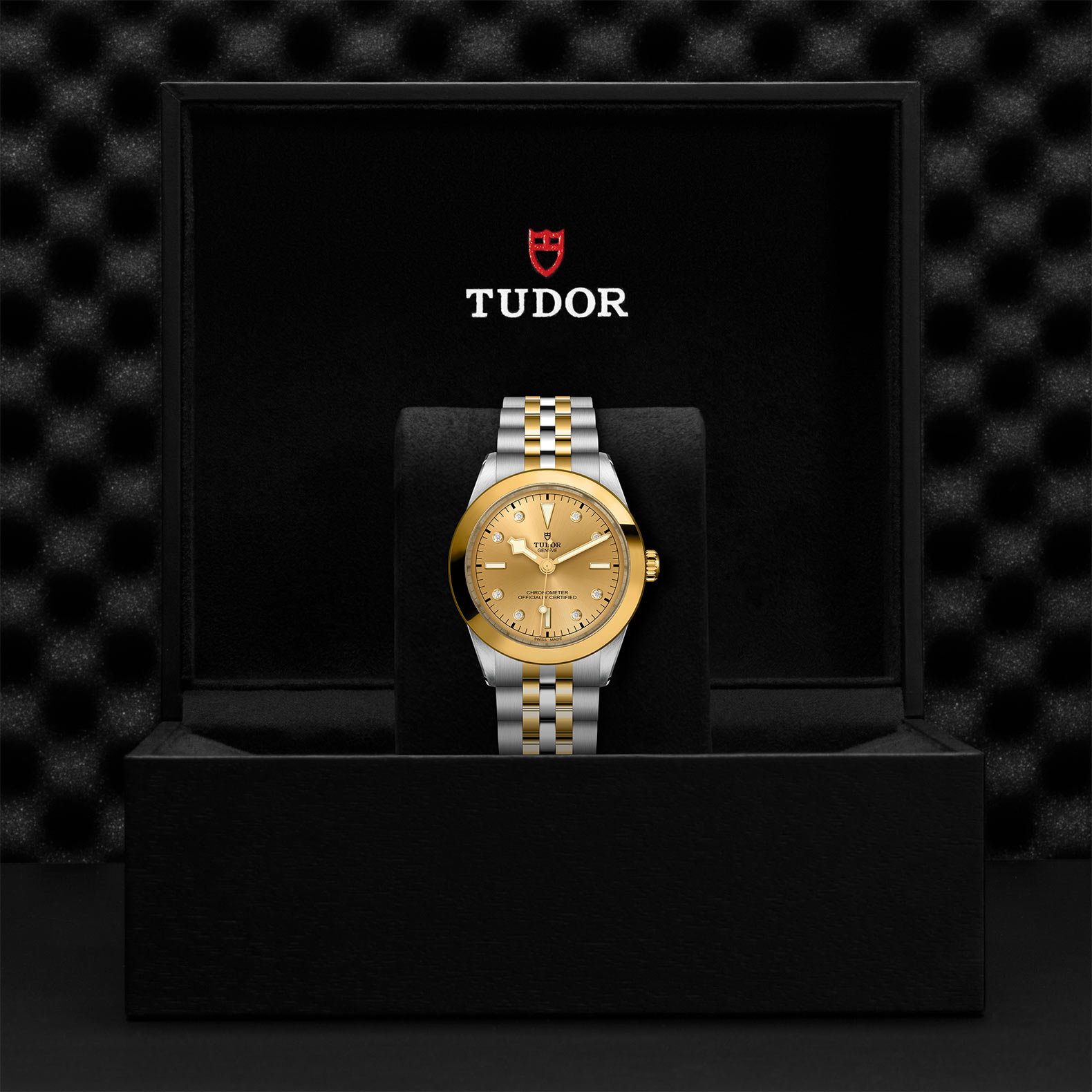 TUDOR Black Bay 31/36/39/41 S&G Watch - M79663-0008 at Sheiban Jewelers