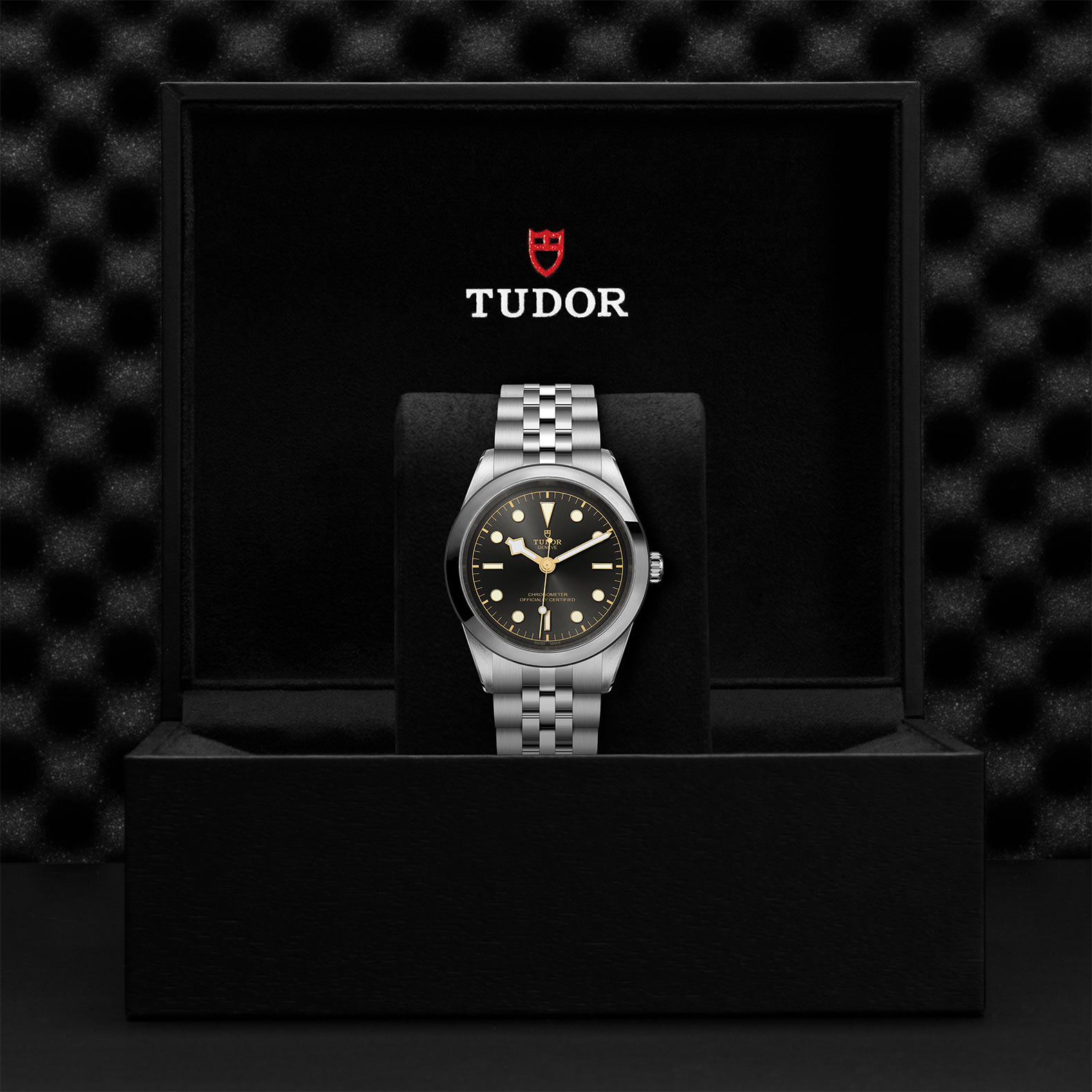 TUDOR Black Bay 31/36/39/41 Watch - M79680-0001 at Sheiban Jewelers