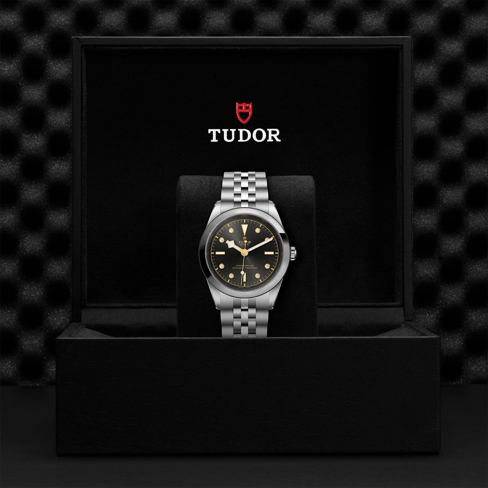 TUDOR Black Bay 31/36/39/41 Watch - M79680-0004 at Sheiban Jewelers