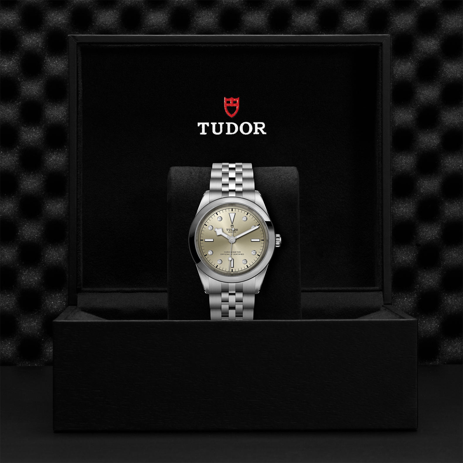 TUDOR Black Bay 31/36/39/41 Watch - M79680-0006 at Sheiban Jewelers