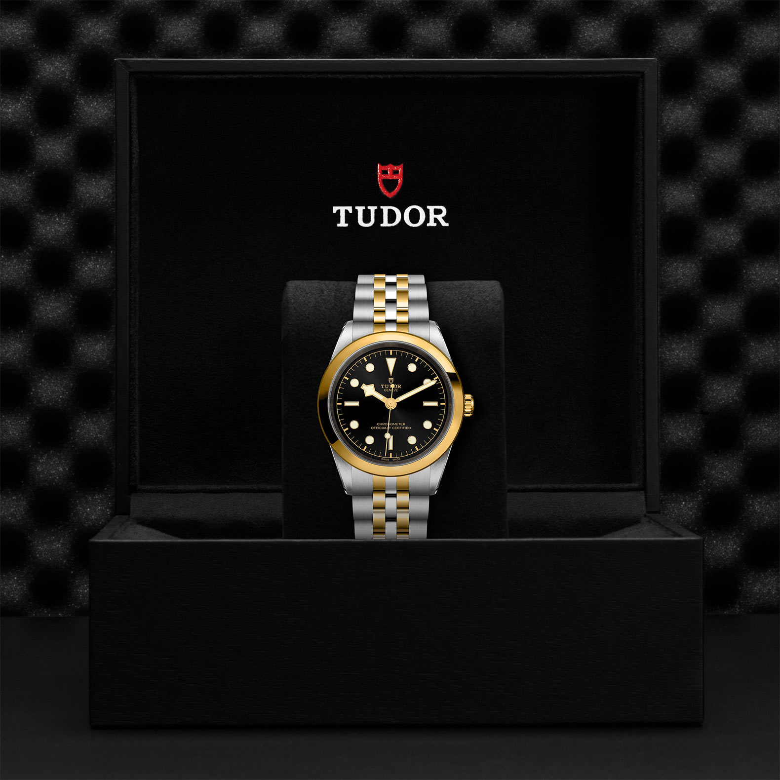TUDOR Black Bay 31/36/39/41 S&G Watch - M79683-0001 at Sheiban Jewelers
