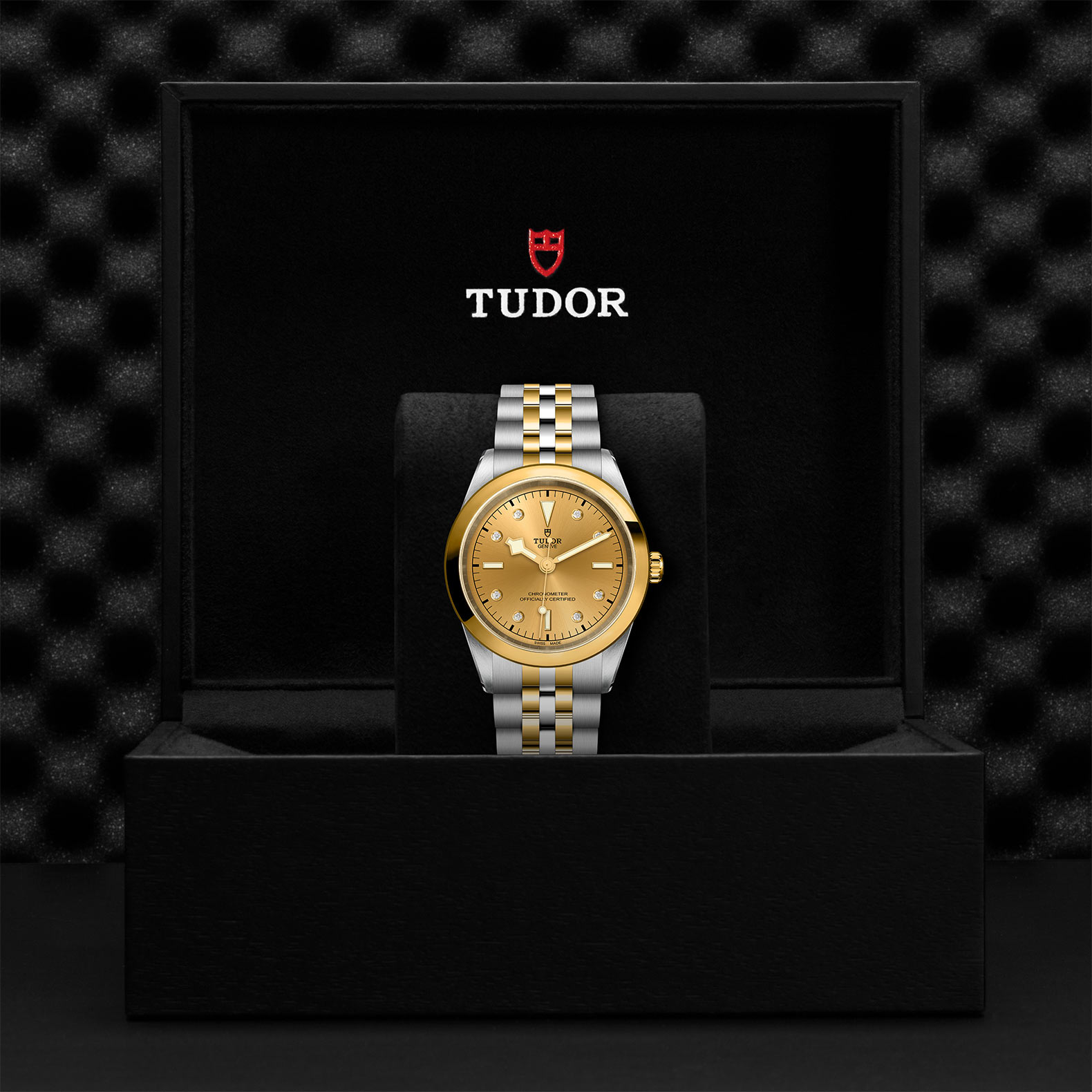TUDOR Black Bay 31/36/39/41 S&G Watch - M79683-0008 at Sheiban Jewelers