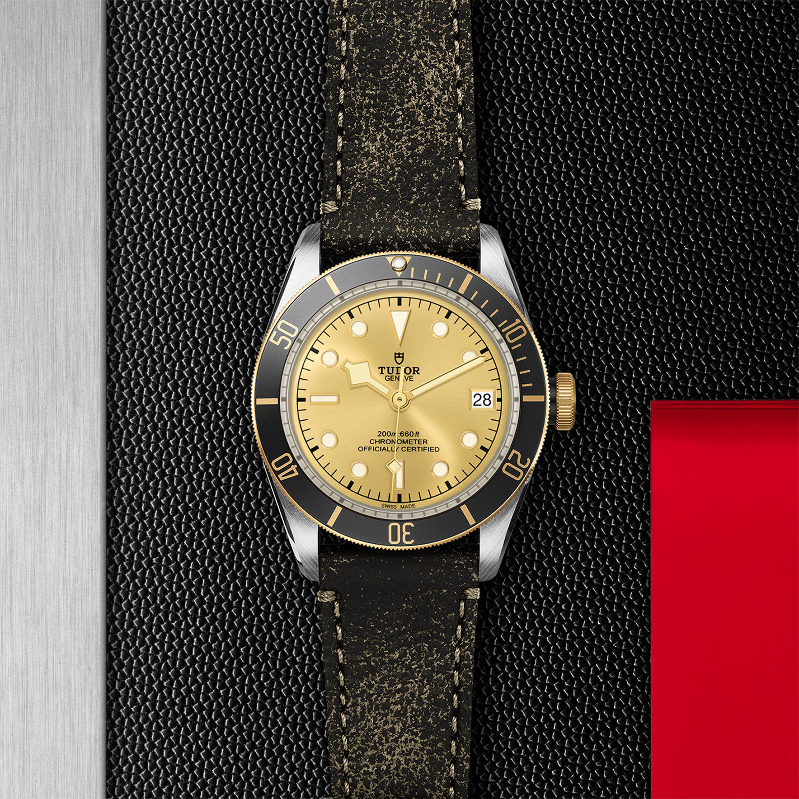 TUDOR Black Bay Watch - M79733N-0003 at Sheiban Jewelers