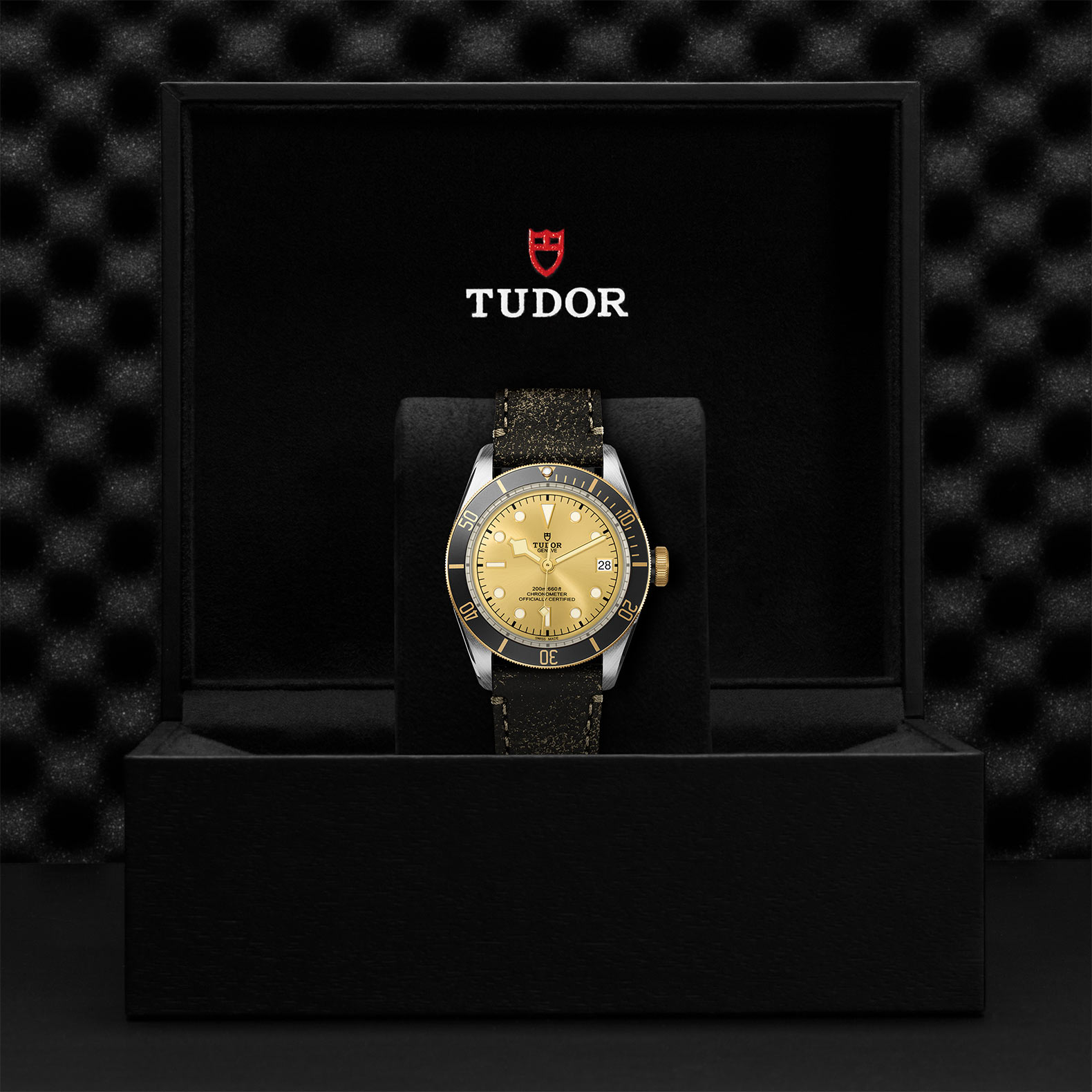 TUDOR Black Bay Watch - M79733N-0003 at Sheiban Jewelers