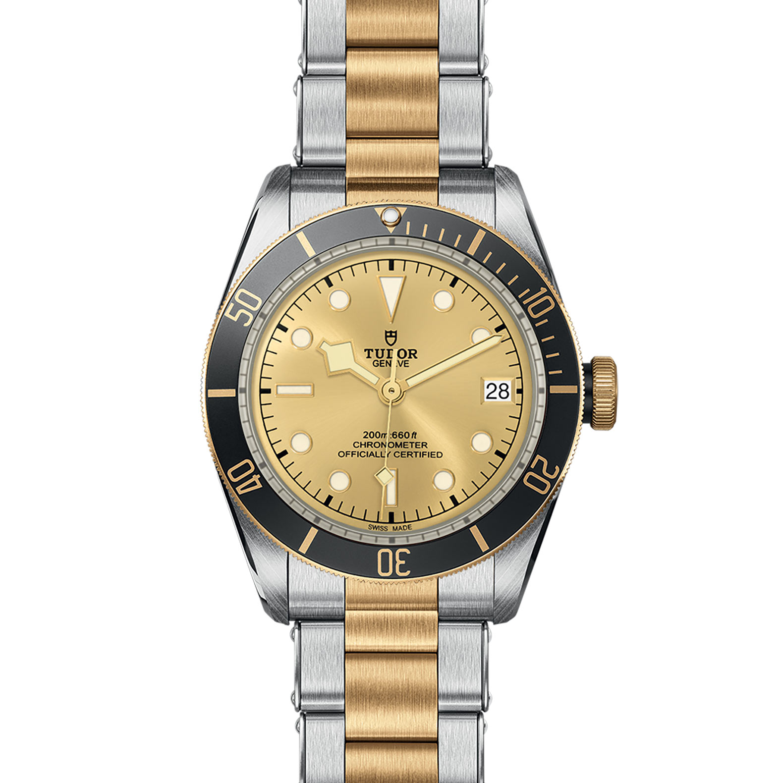 TUDOR Black Bay Watch - M79733N-0004 at Sheiban Jewelers