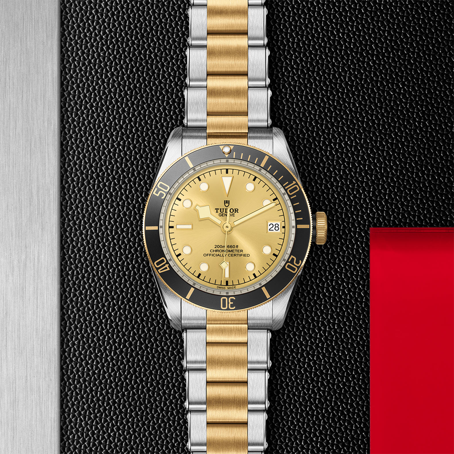 TUDOR Black Bay Watch - M79733N-0004 at Sheiban Jewelers