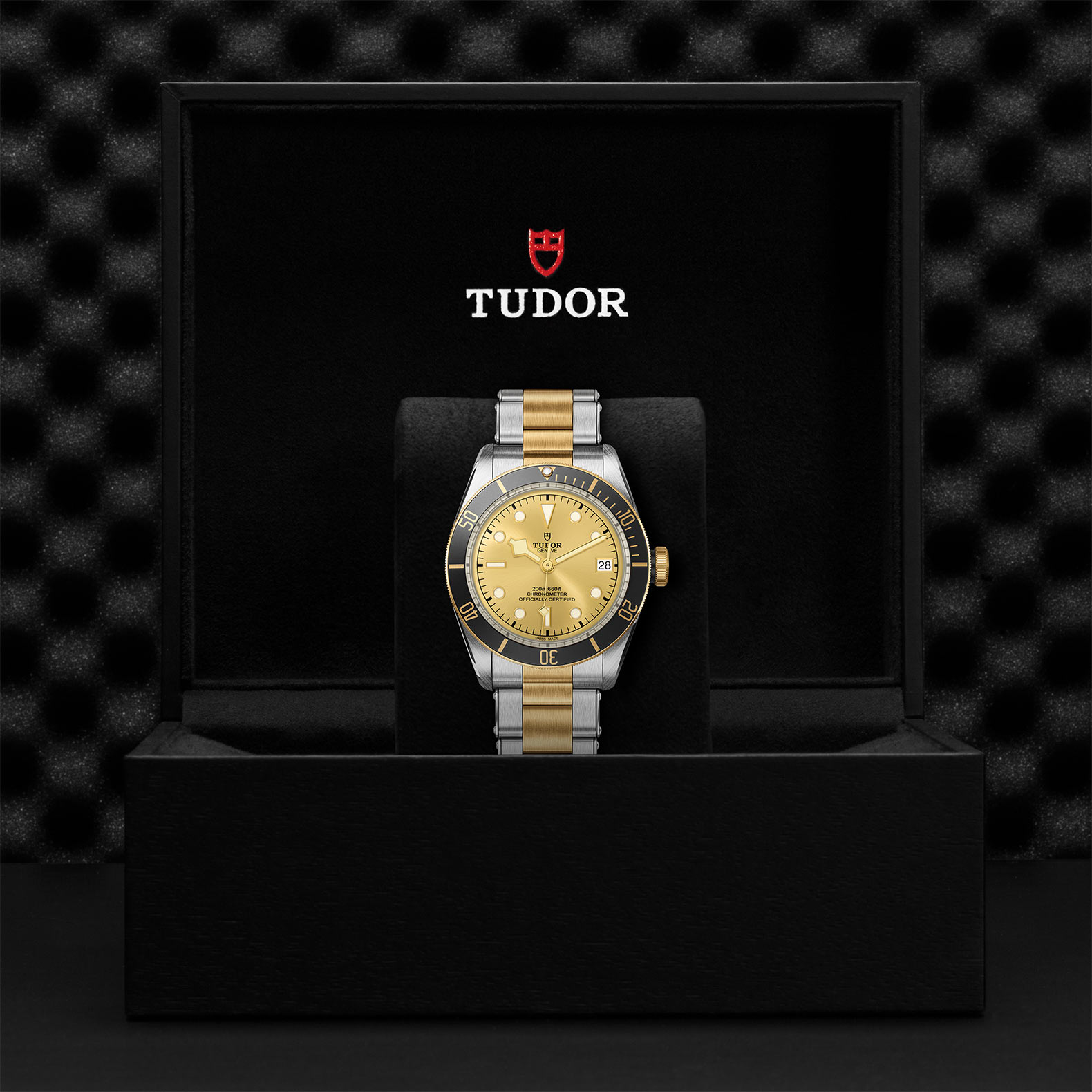 TUDOR Black Bay Watch - M79733N-0004 at Sheiban Jewelers
