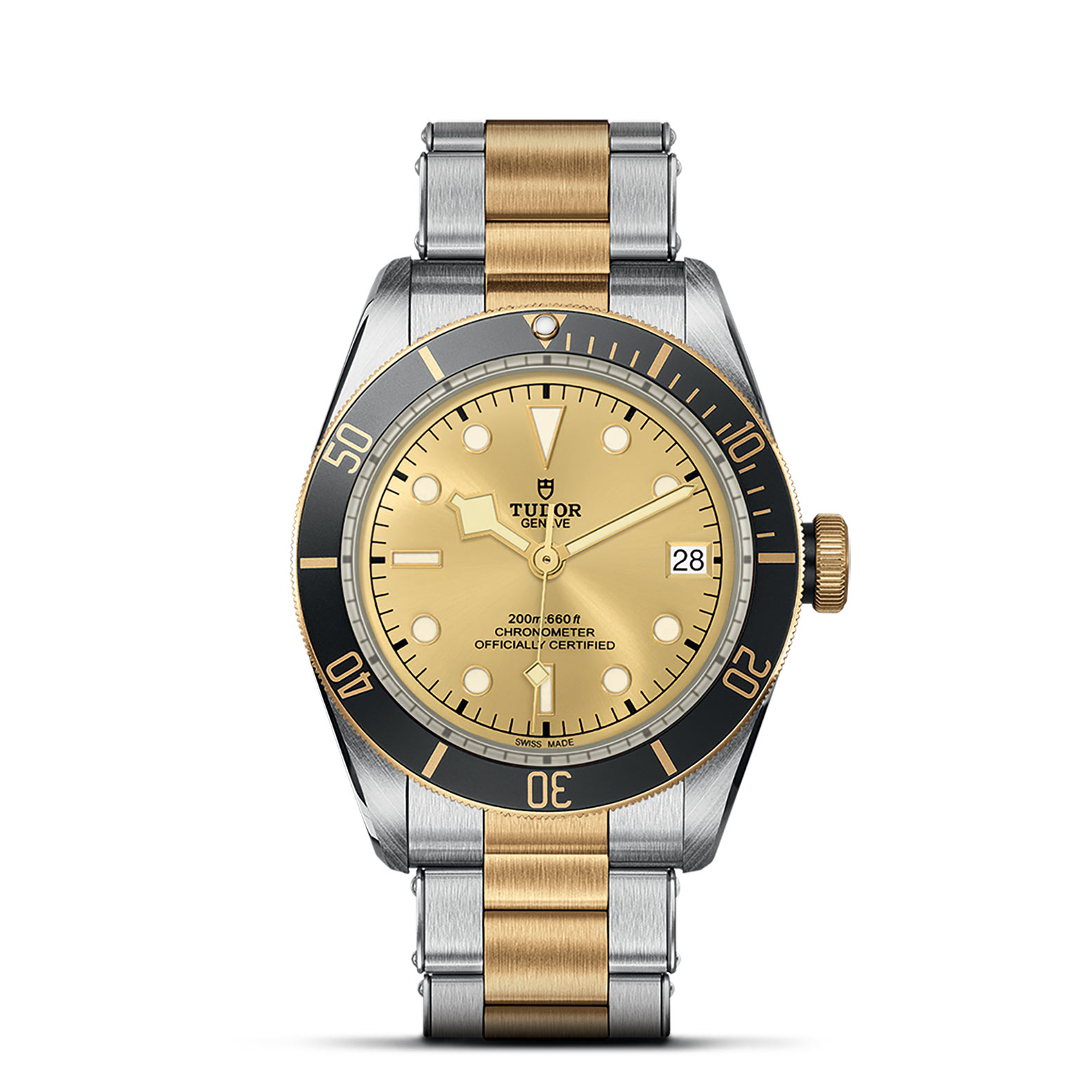 TUDOR Black Bay Watch - M79733N-0004 at Sheiban Jewelers