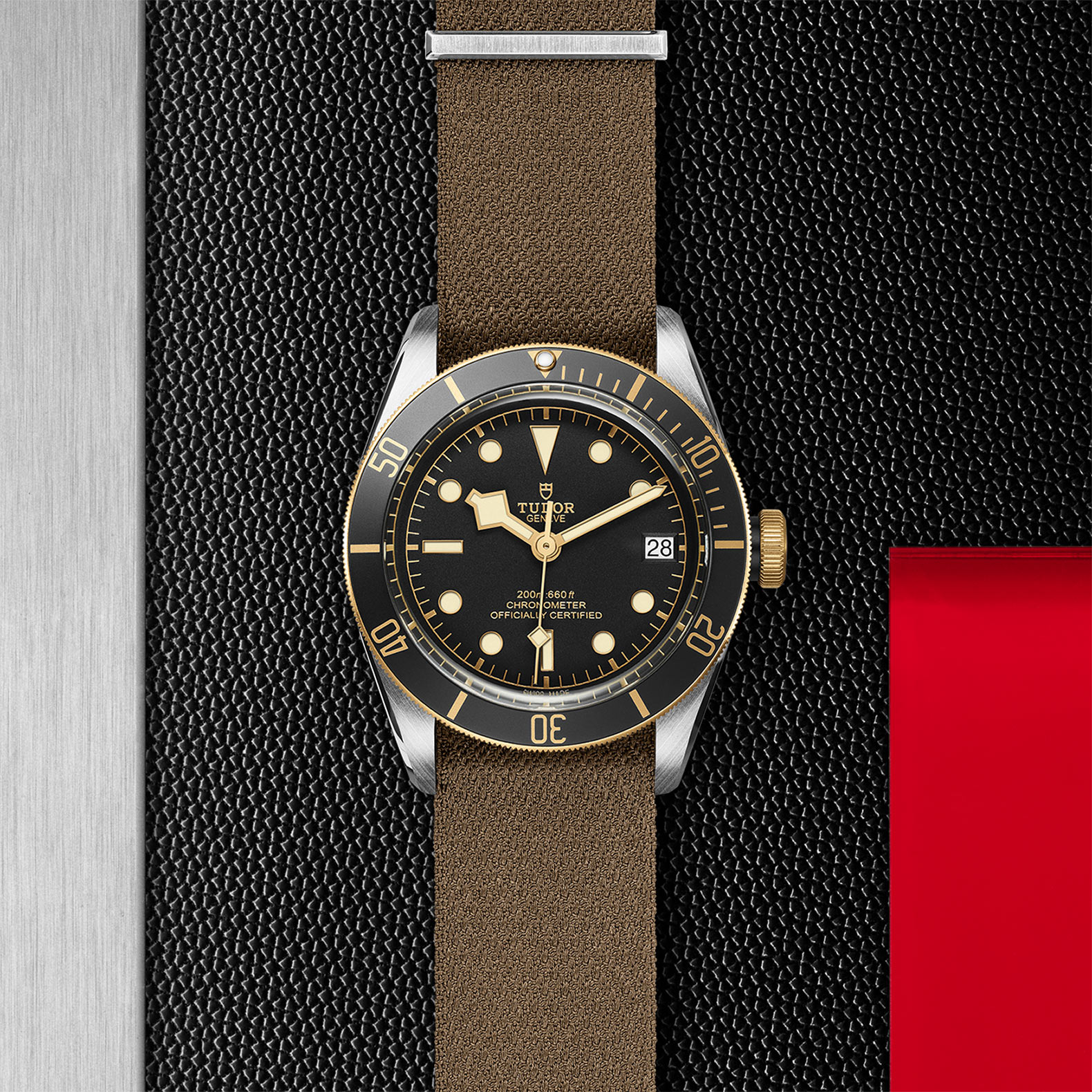 TUDOR Black Bay Watch - M79733N-0005 at Sheiban Jewelers