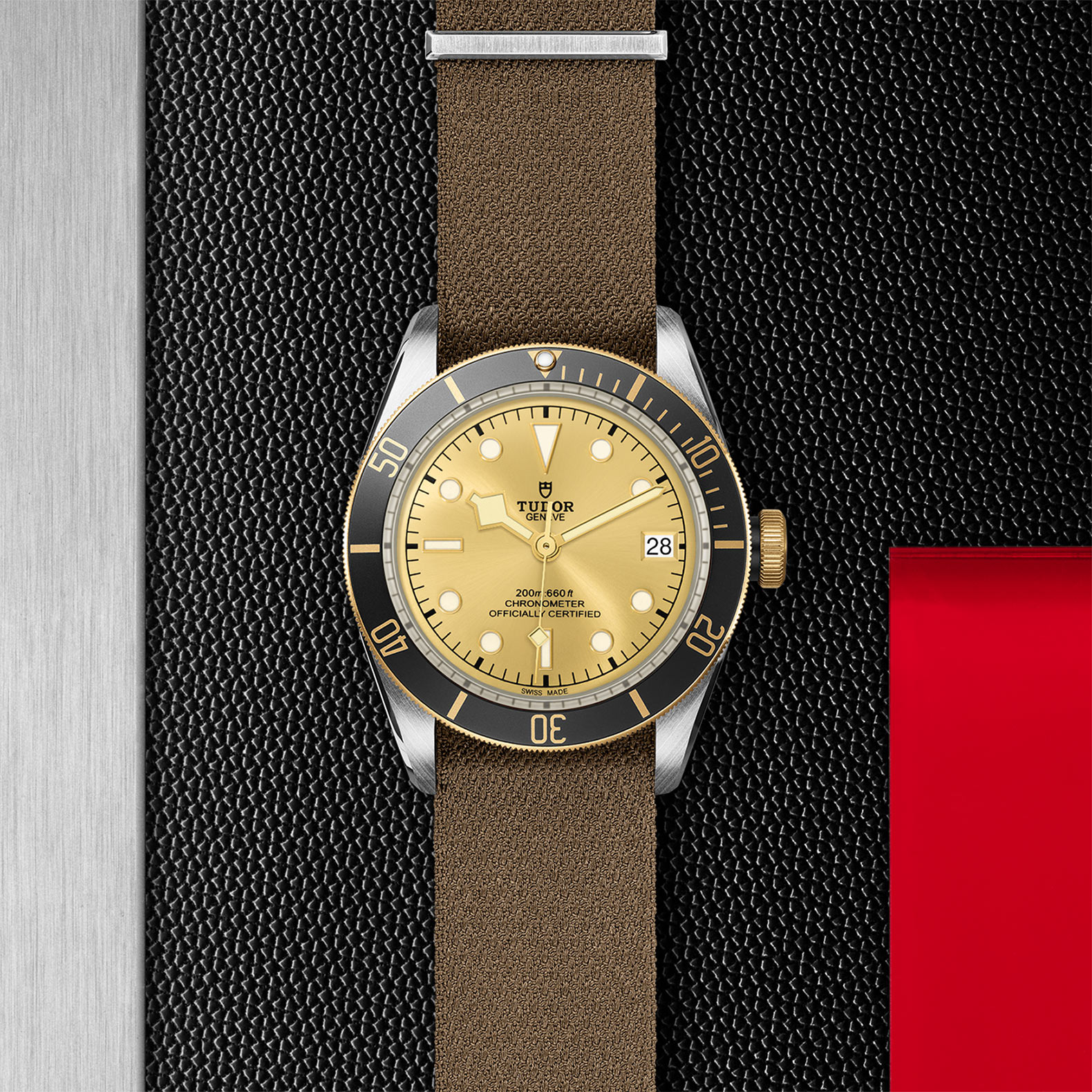 TUDOR Black Bay Watch - M79733N-0006 at Sheiban Jewelers